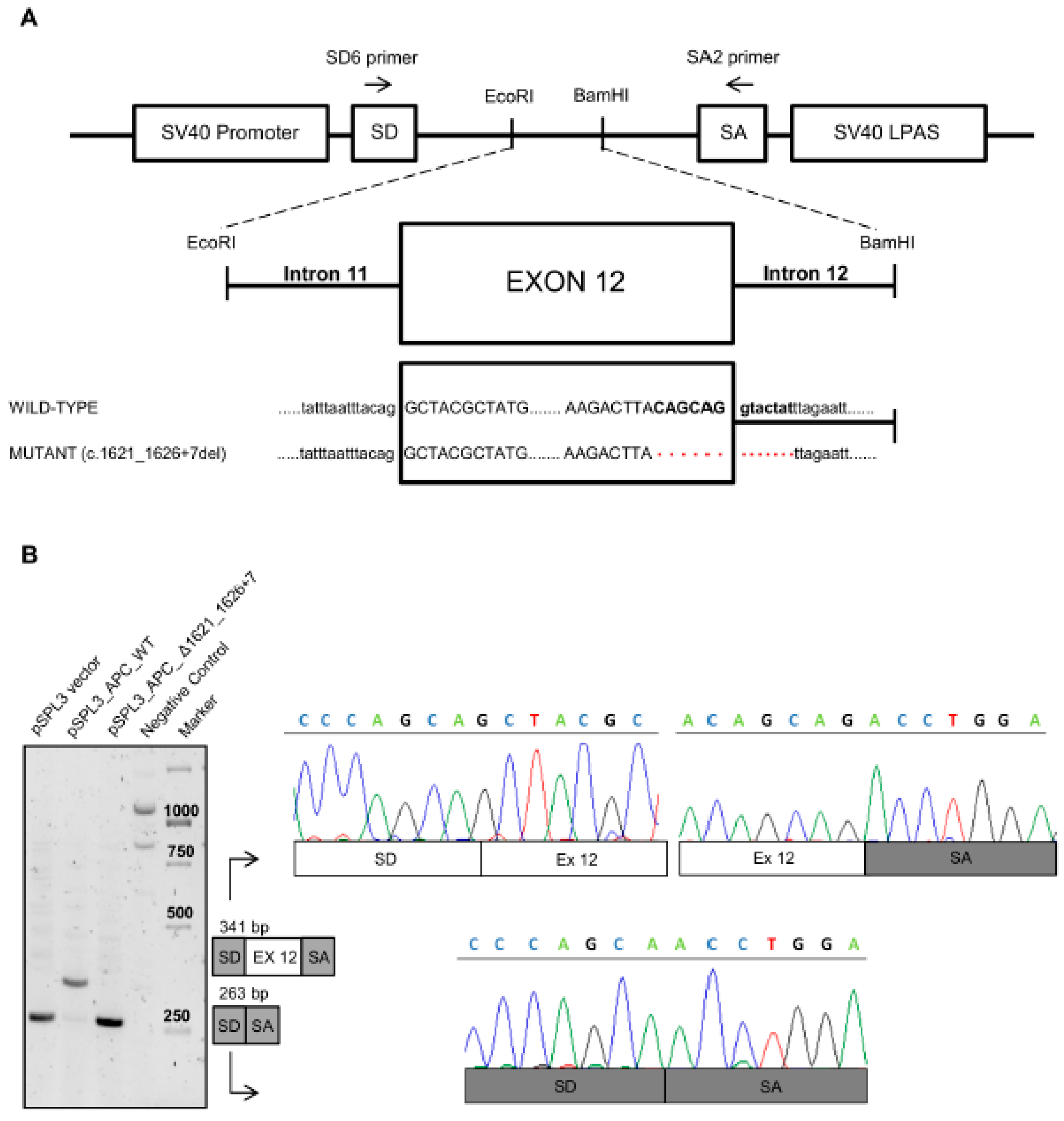 Genes 12 00353 g003 Genes 12 00353 g003