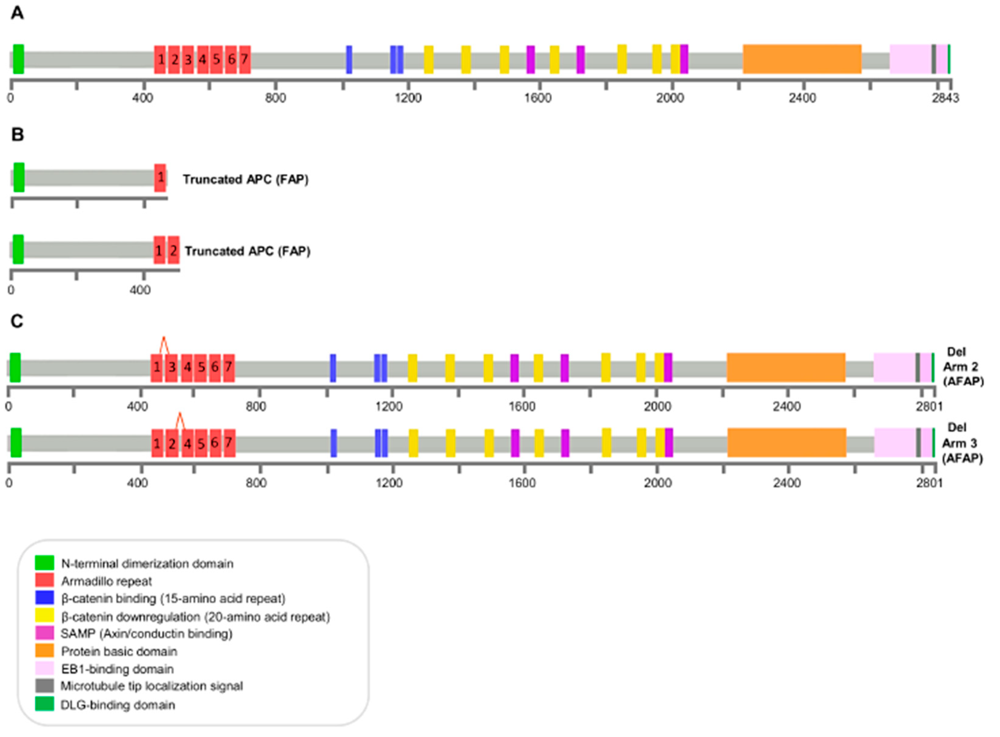 Genes 12 00353 g004 Genes 12 00353 g004