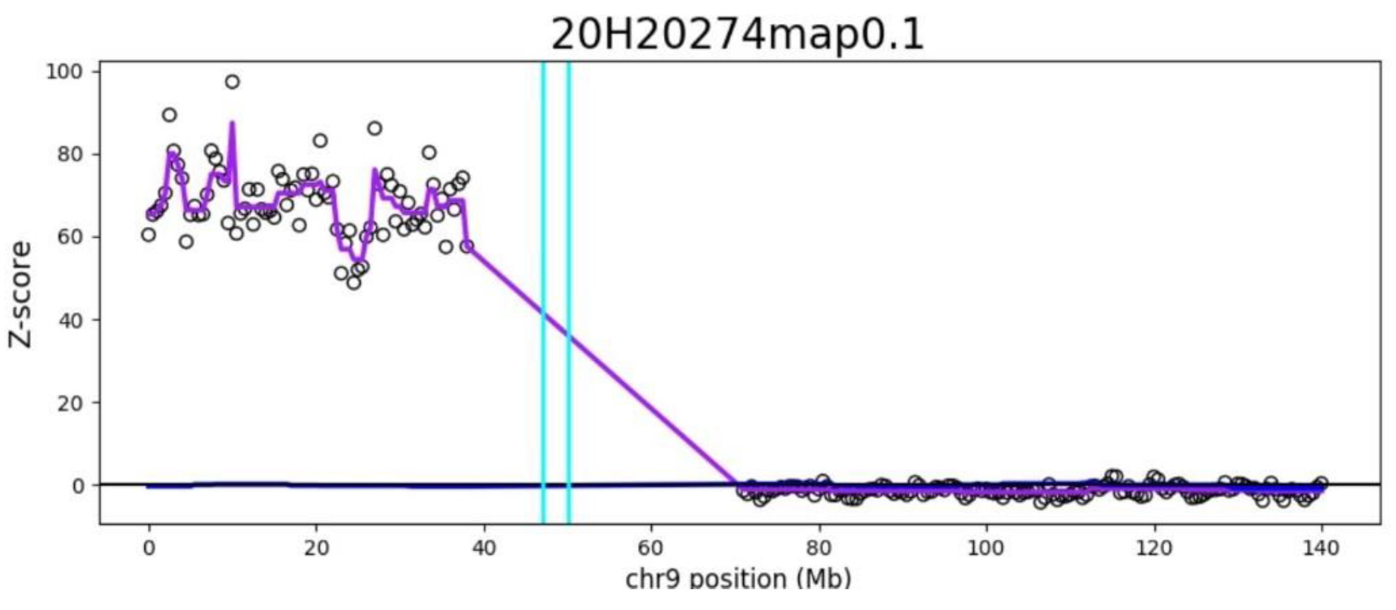 Genes 12 00370 g002
