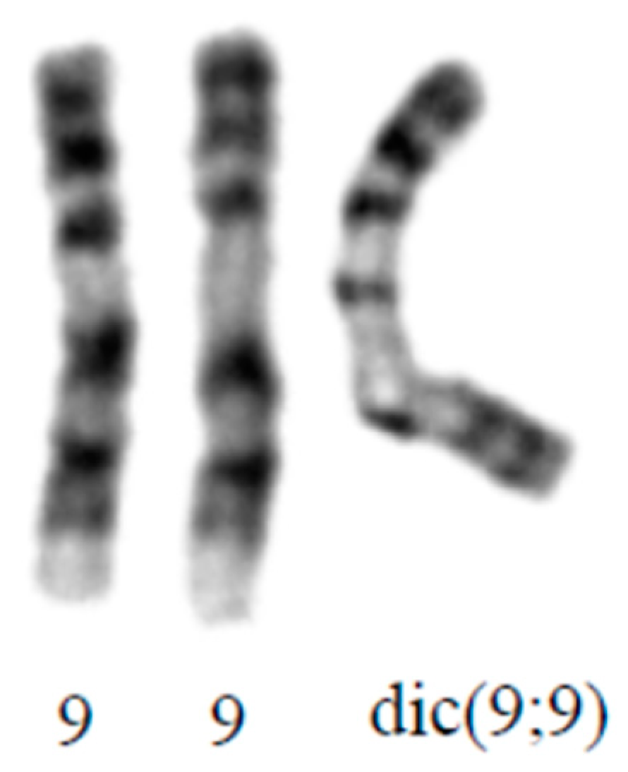 Genes 12 00370 g003