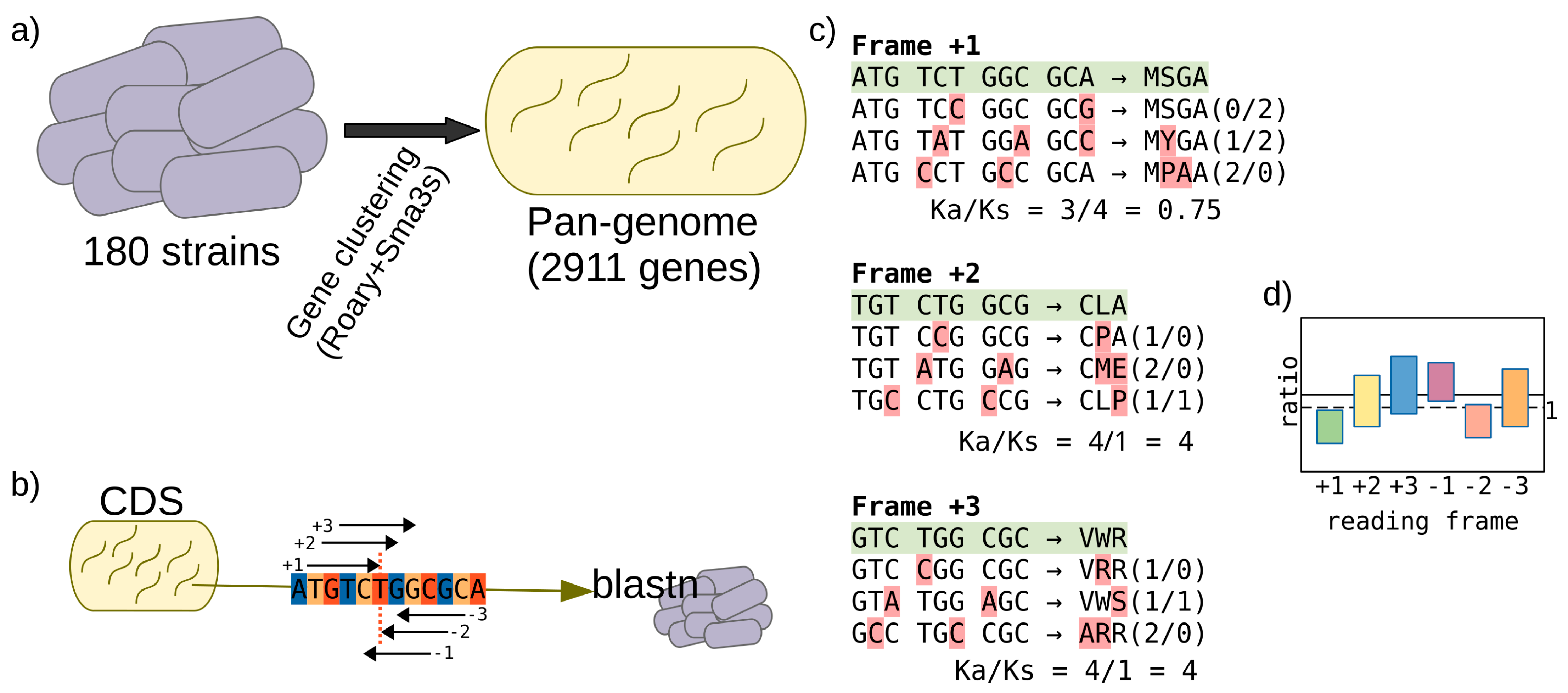 Genes 12 00377 g002