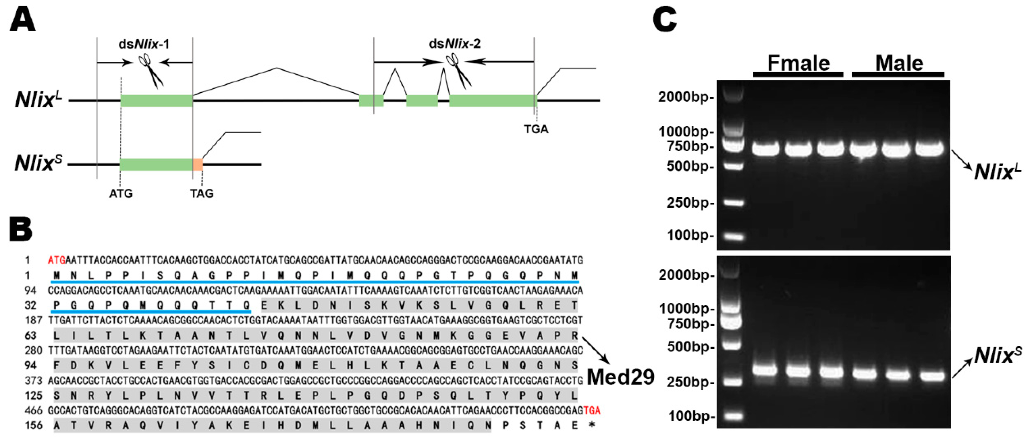 Genes 12 00379 g001