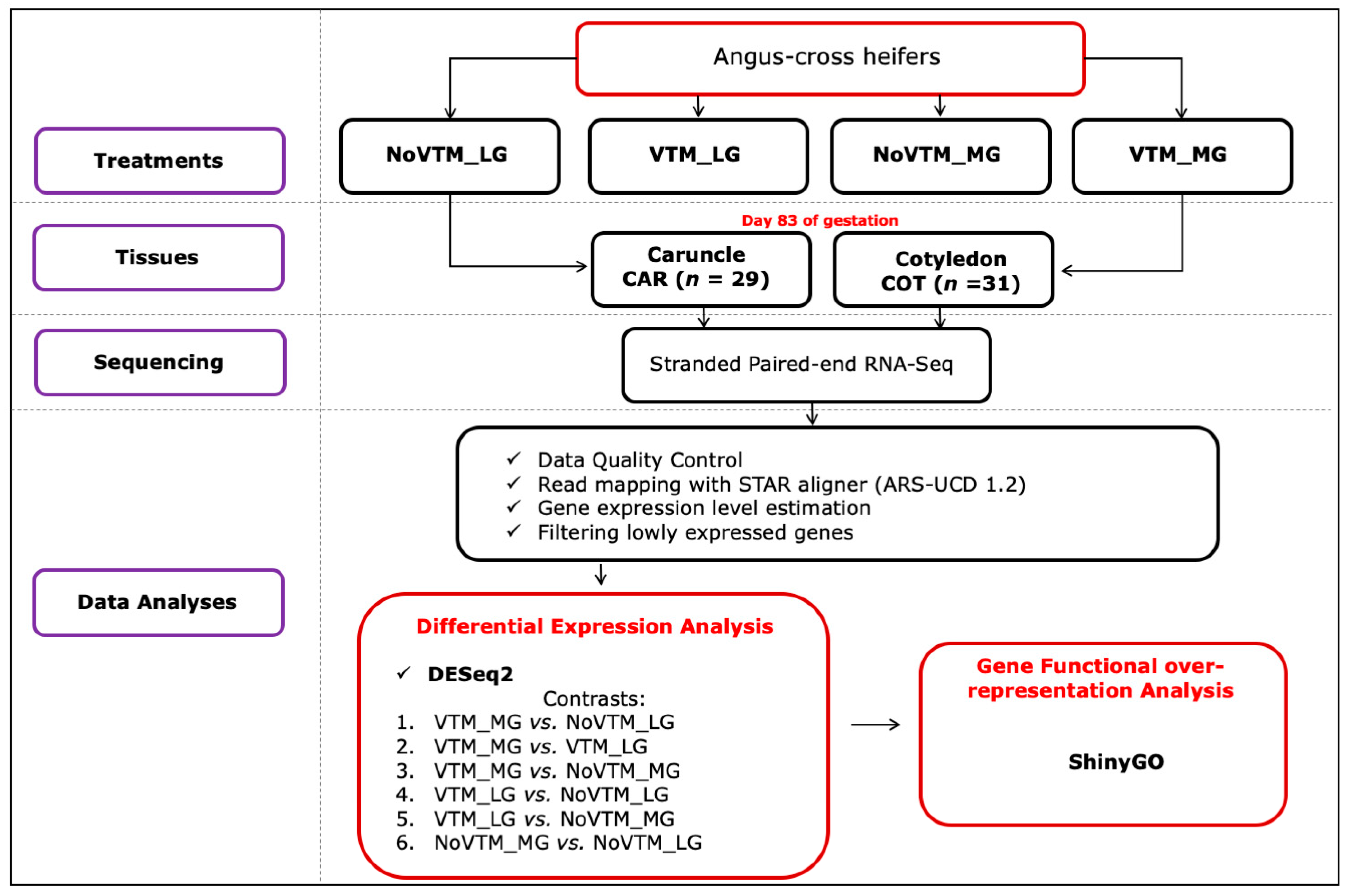 Genes 12 00385 g001