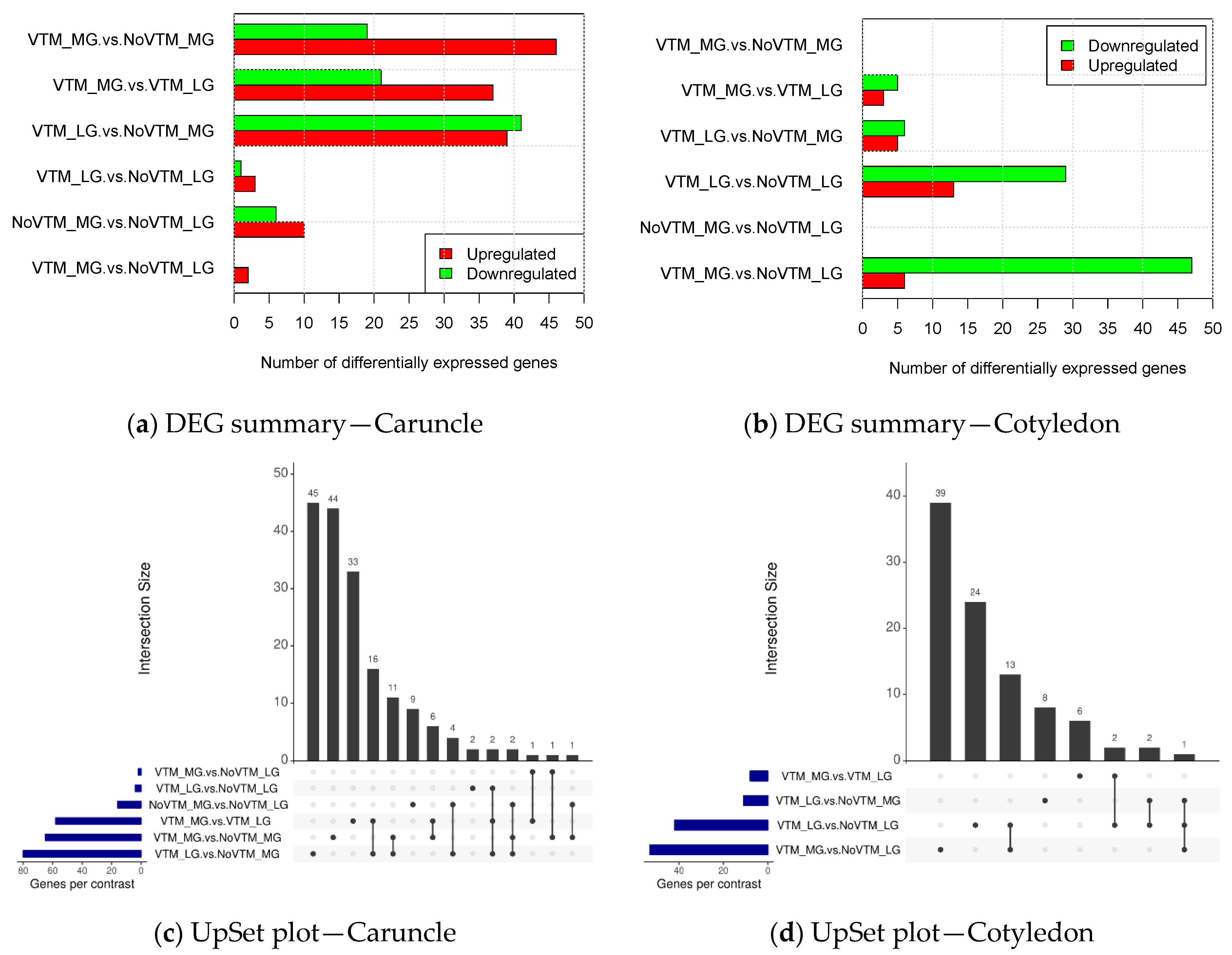 Genes 12 00385 g002
