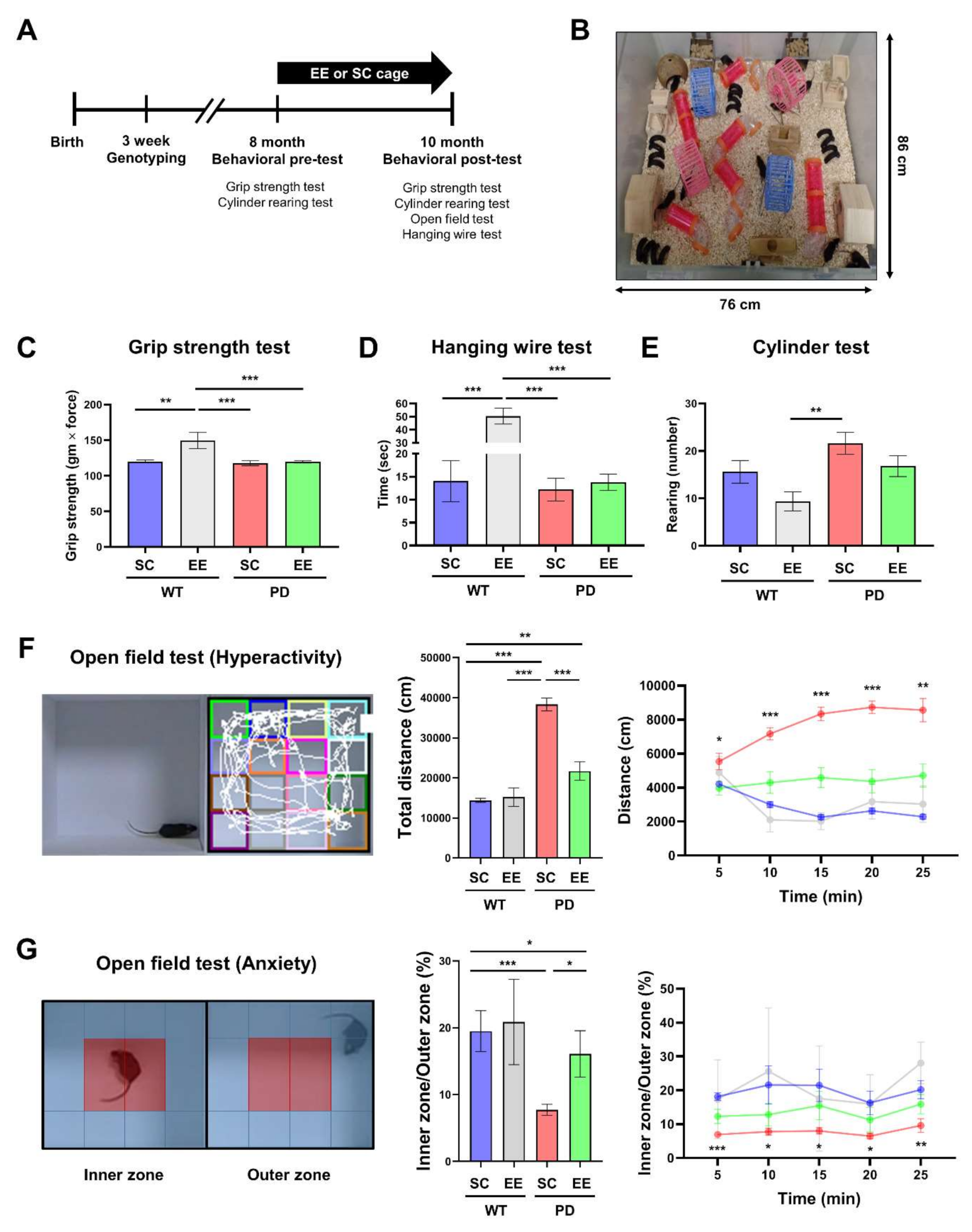 Genes 12 00392 g001 Genes 12 00392 g001