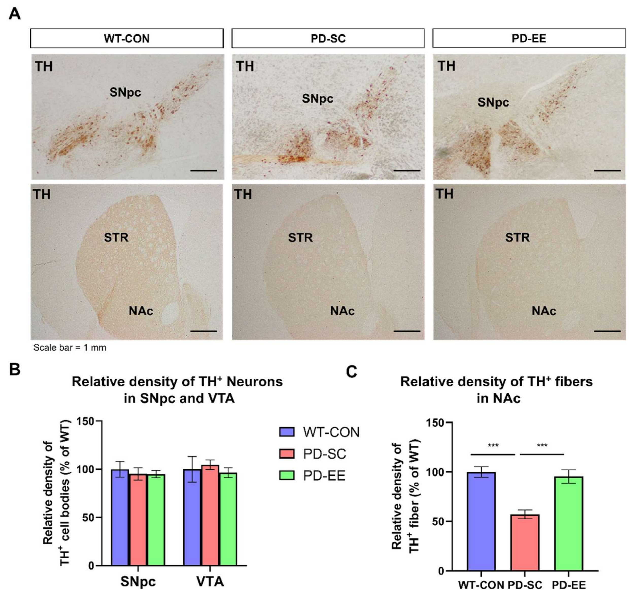 Genes 12 00392 g002 Genes 12 00392 g002