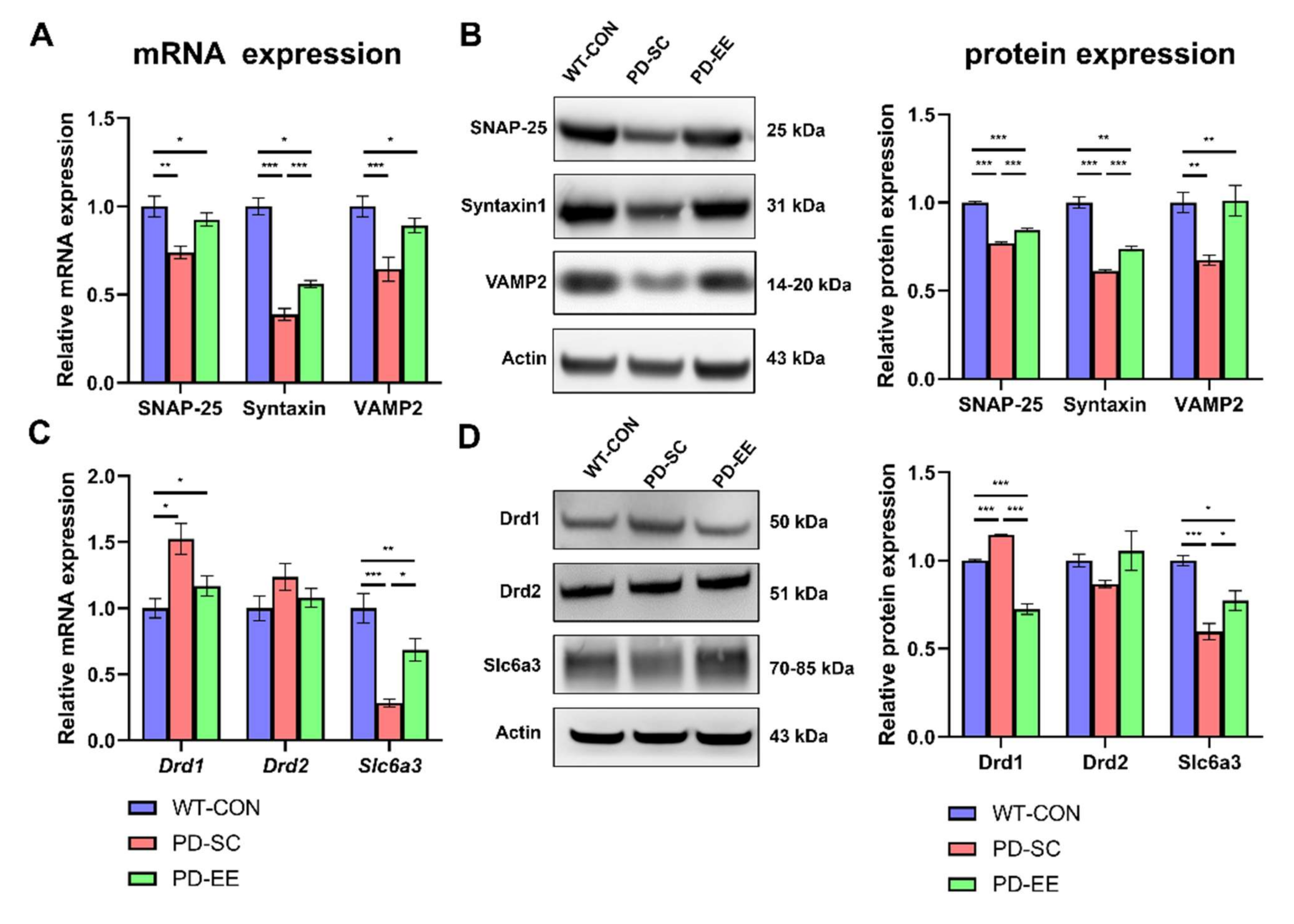 Genes 12 00392 g003 Genes 12 00392 g003