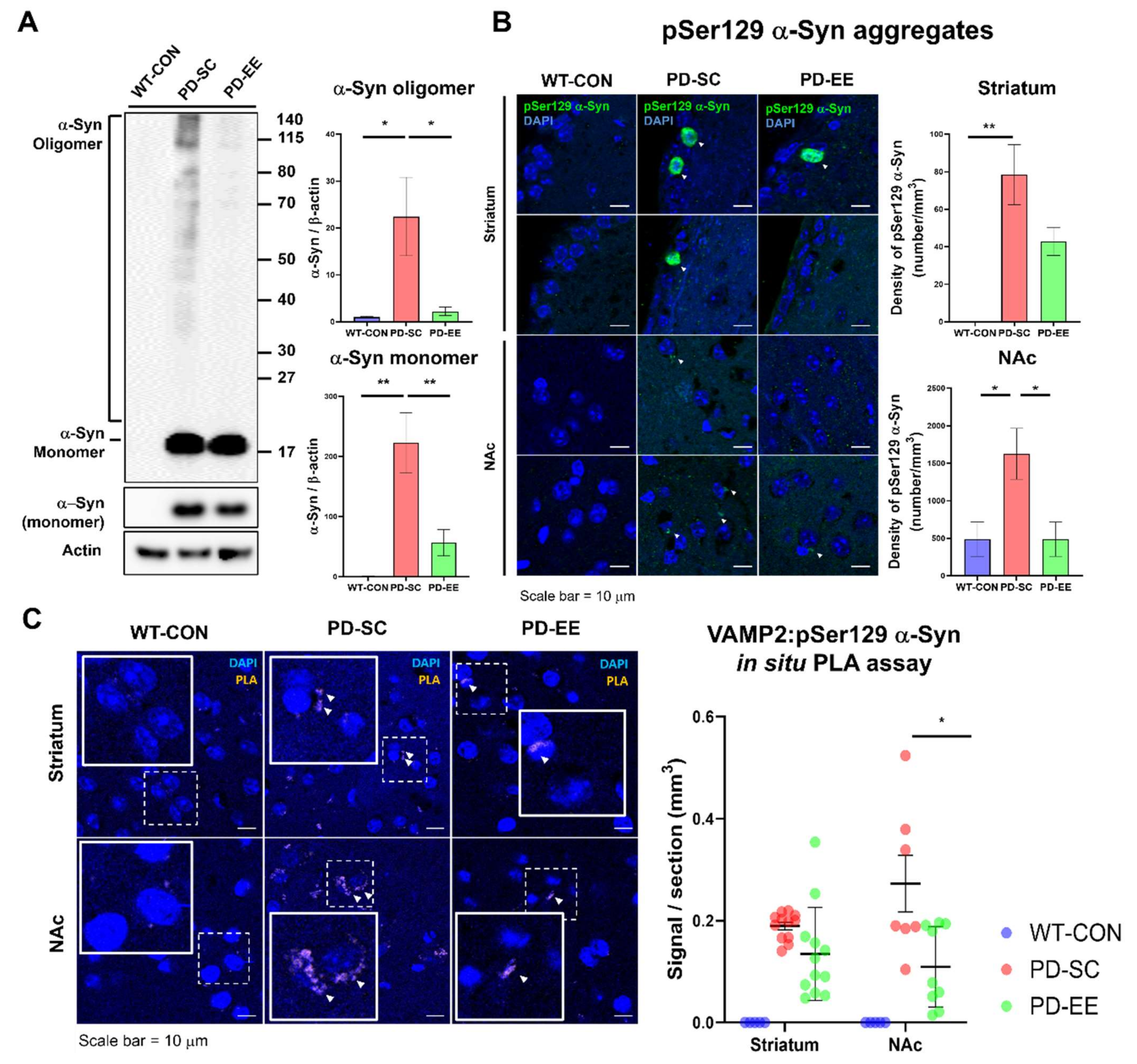 Genes 12 00392 g004 Genes 12 00392 g004