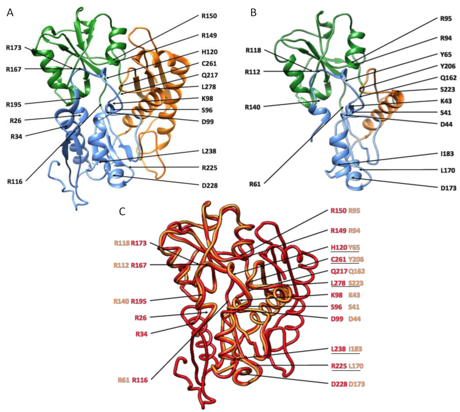 Genes 12 00421 g005