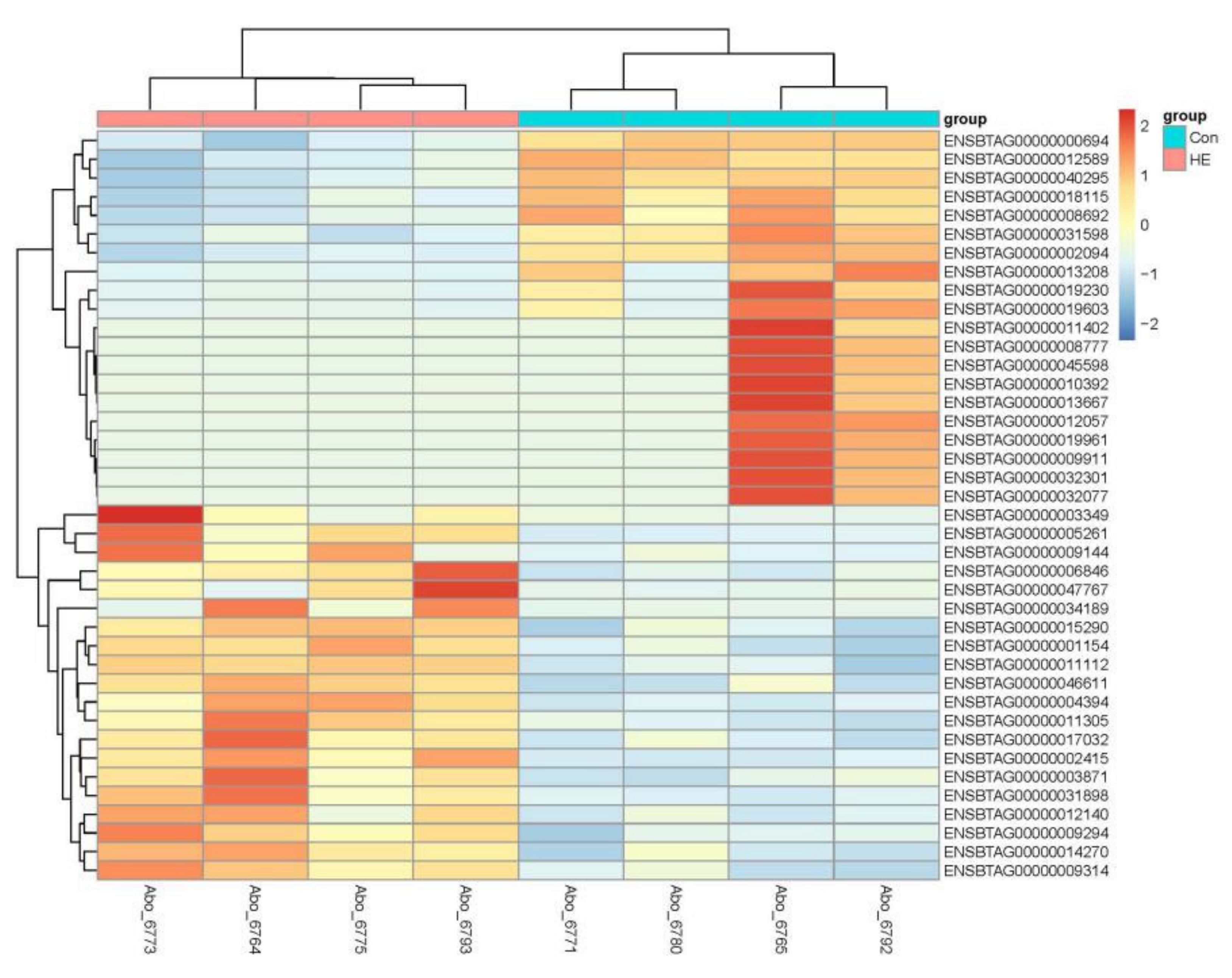 Genes 12 00424 g002 Genes 12 00424 g002