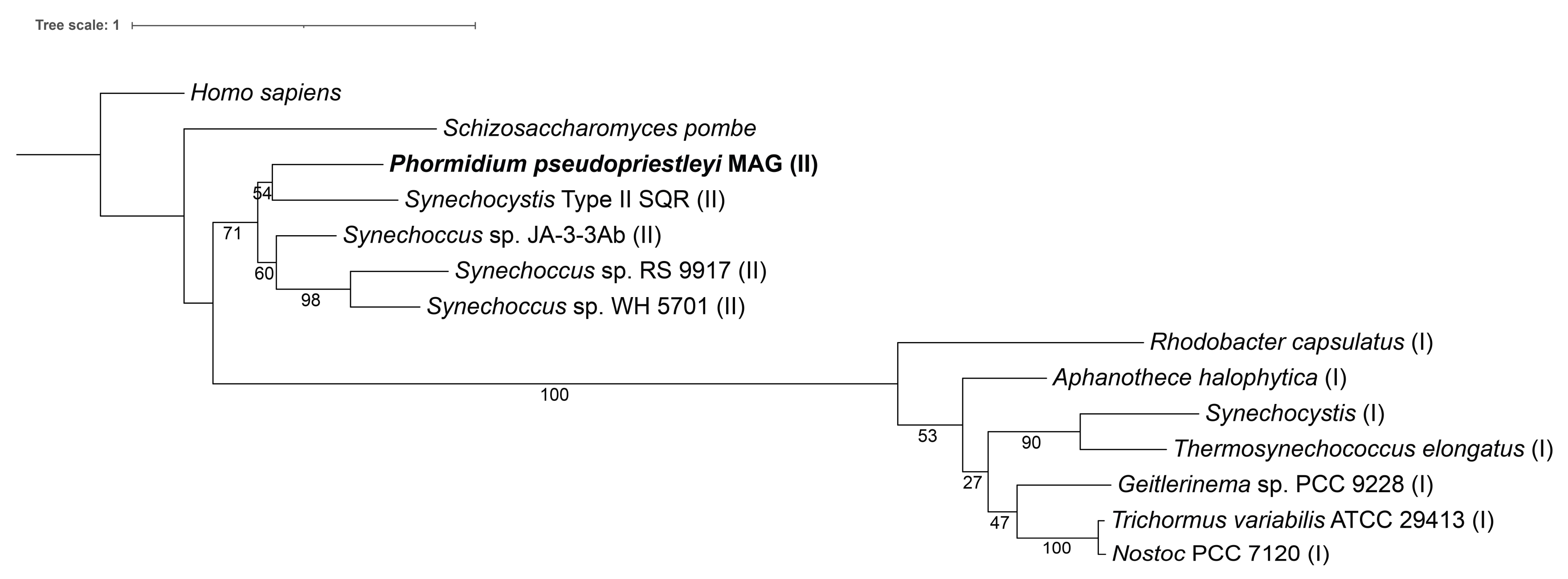 Genes 12 00426 g002 Genes 12 00426 g002