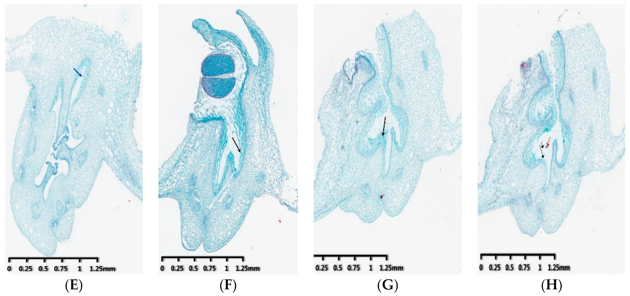 Genes 12 00432 g001b Genes 12 00432 g001b