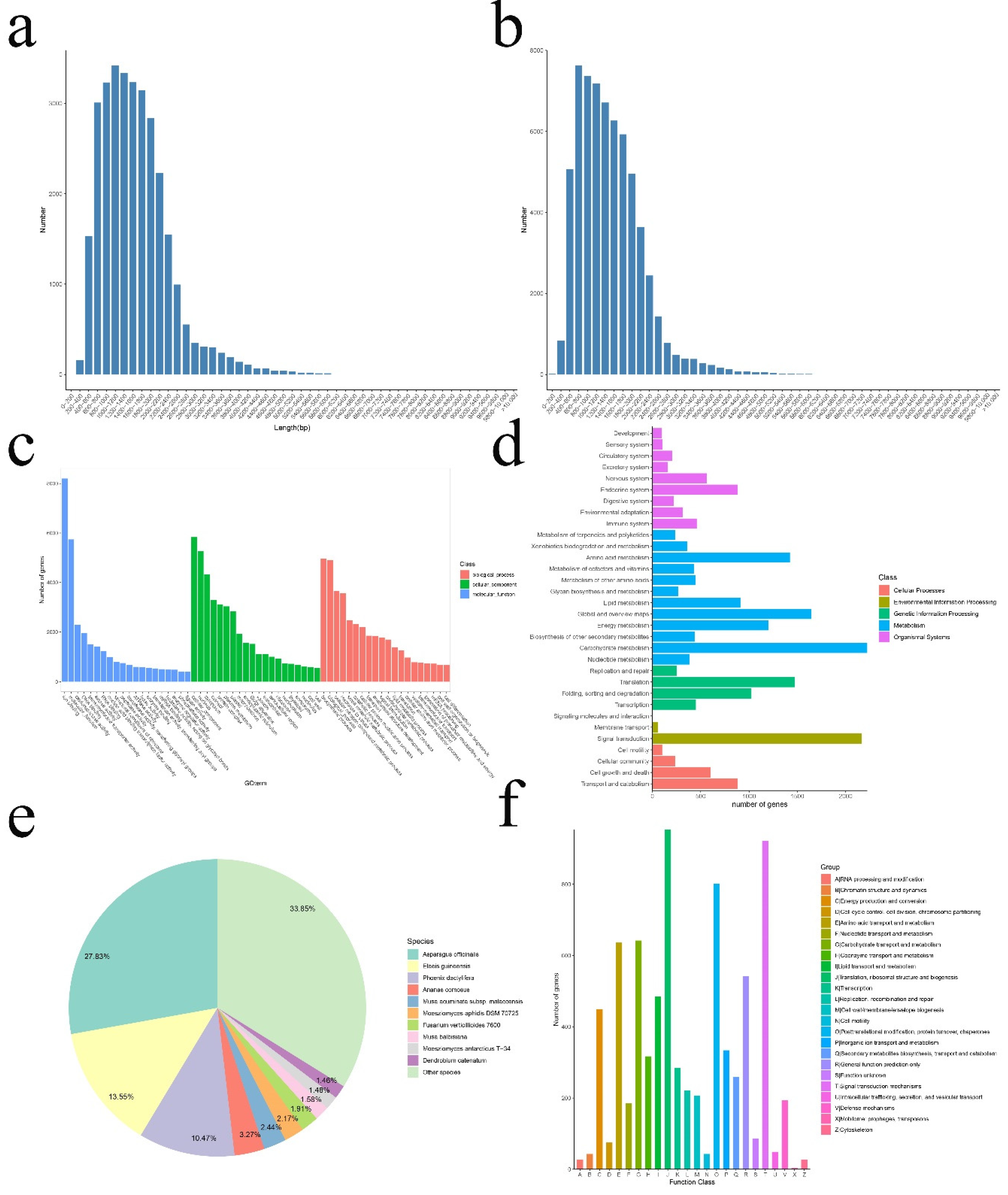 Genes 12 00434 g001