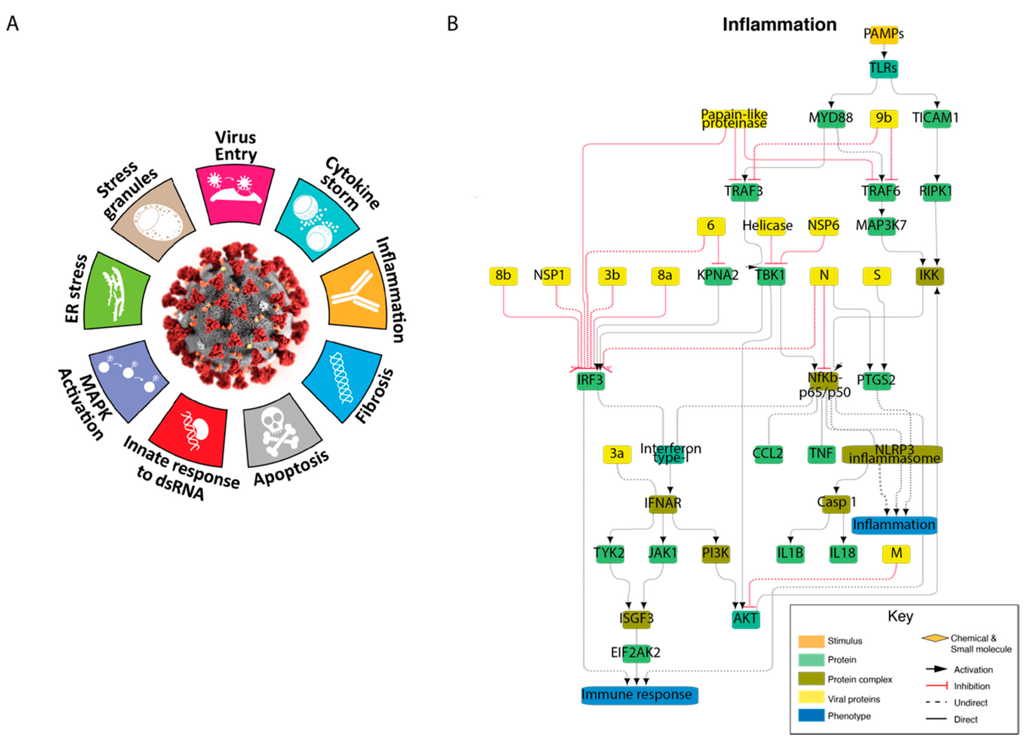 Genes 12 00450 g003