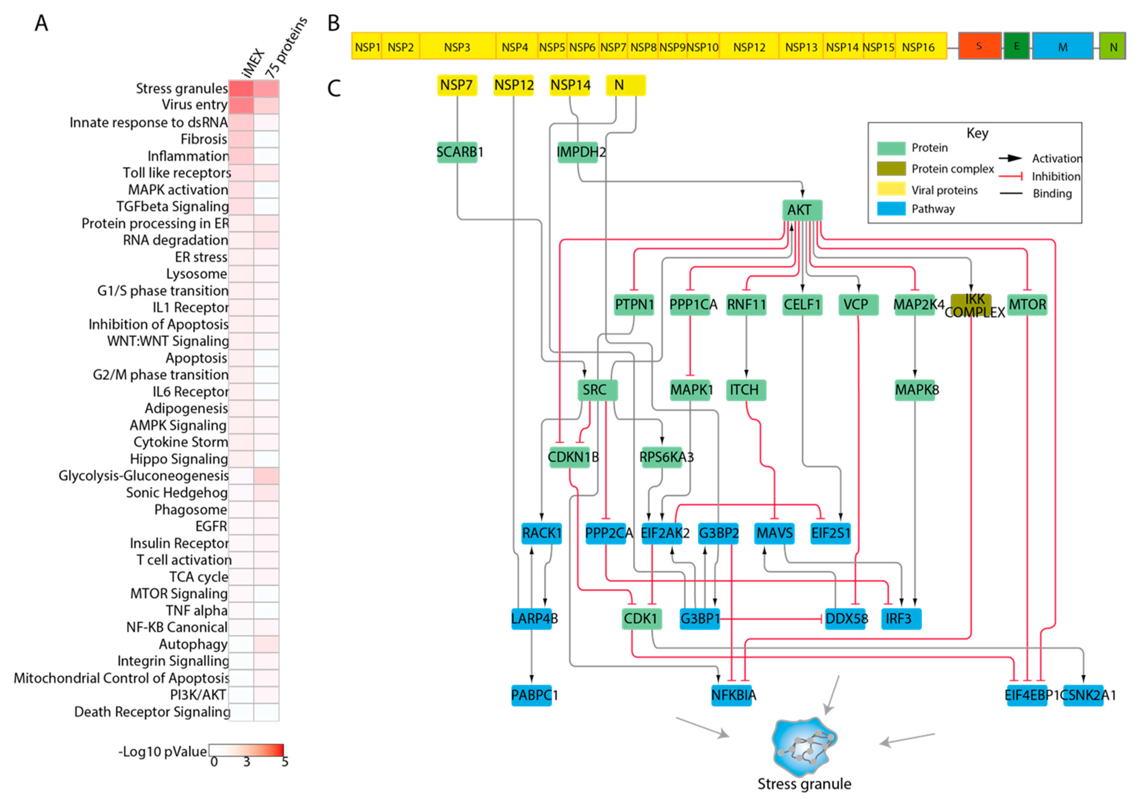 Genes 12 00450 g004