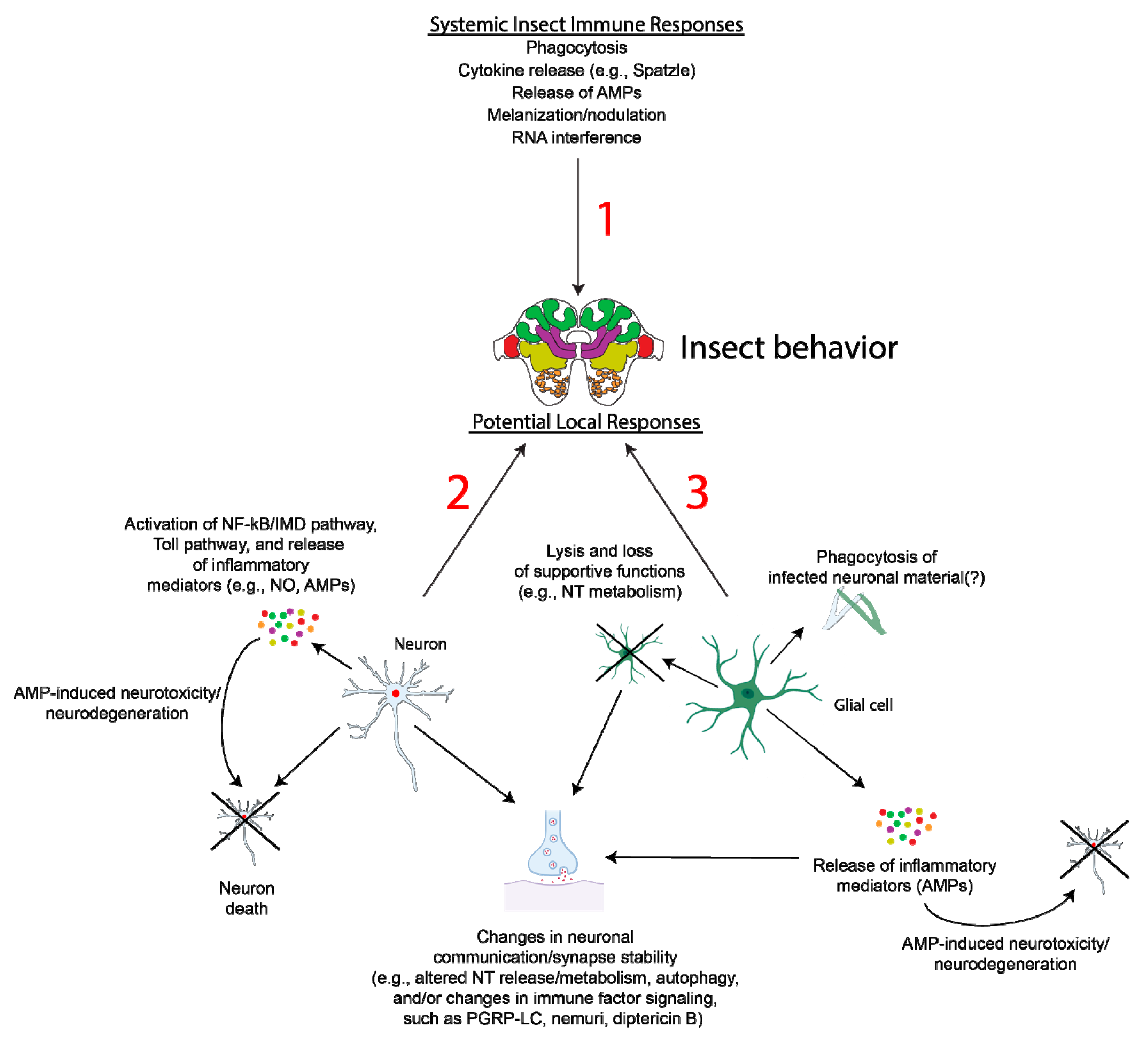 Genes 12 00465 g003 Genes 12 00465 g003