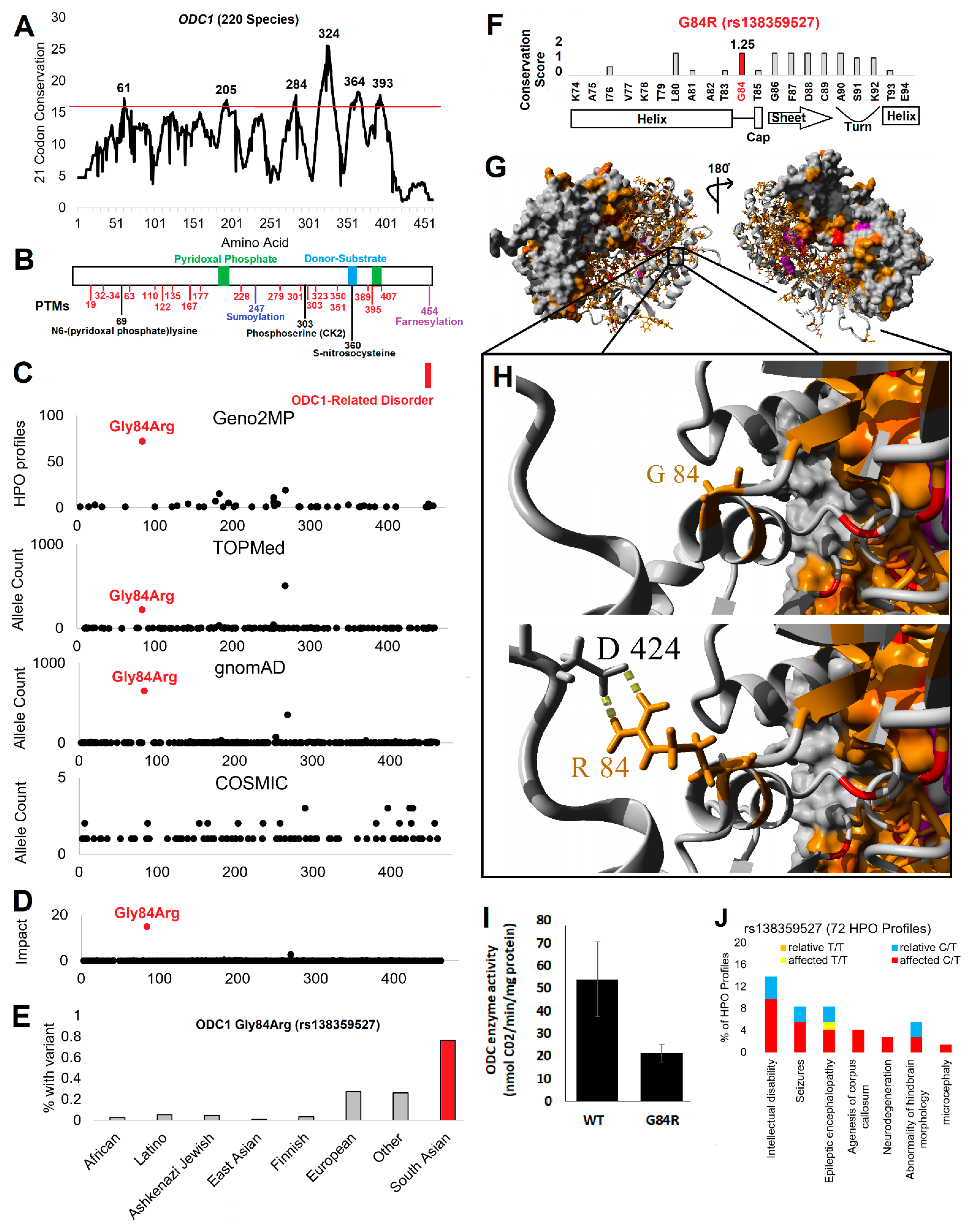 Genes 12 00470 g001 Genes 12 00470 g001