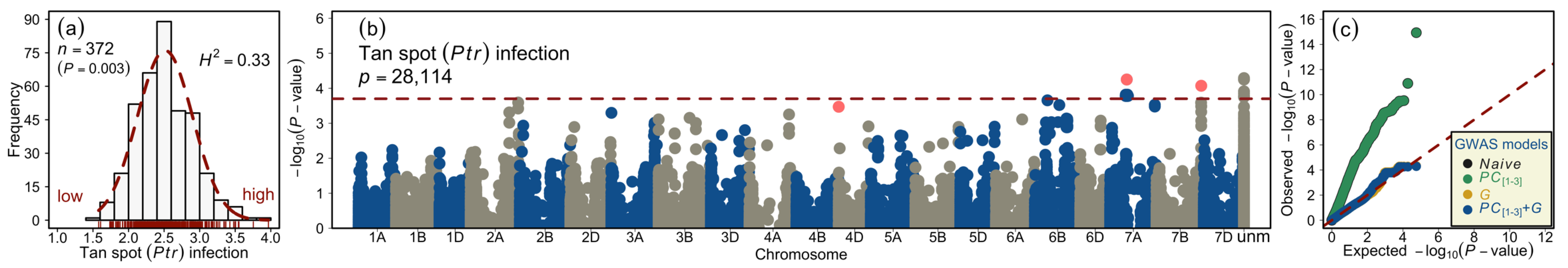Genes 12 00490 g001