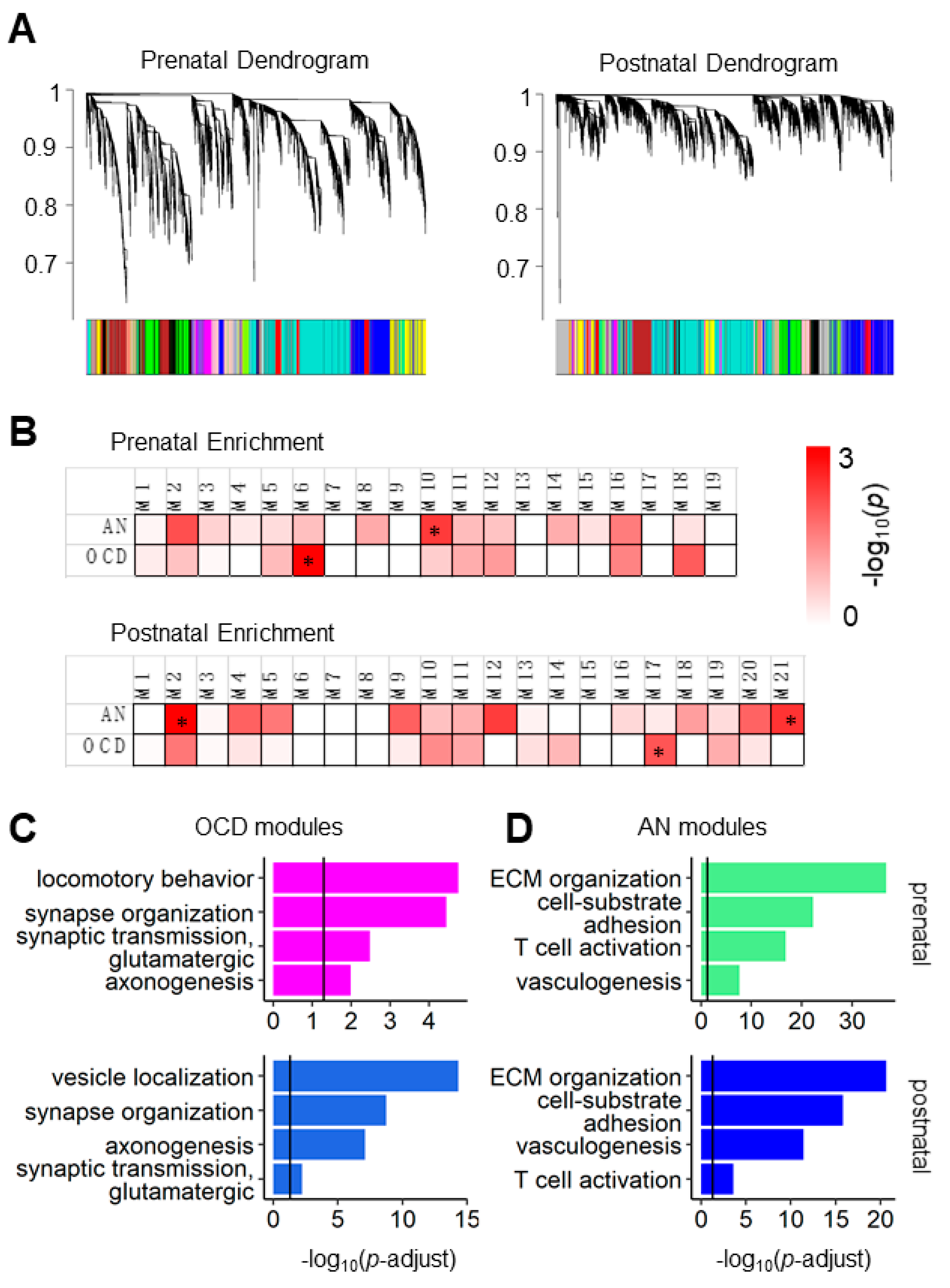 Genes 12 00491 g001 Genes 12 00491 g001