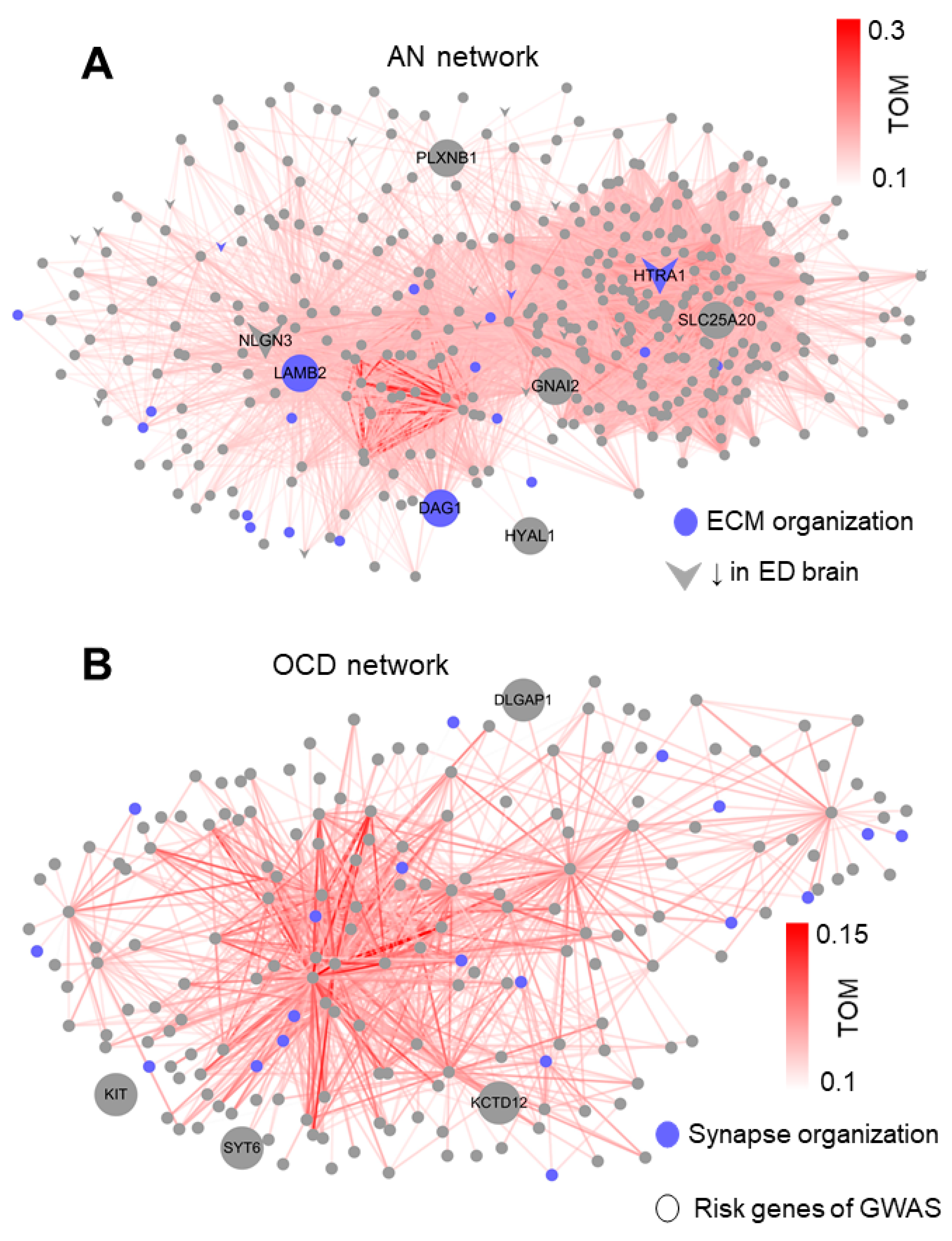 Genes 12 00491 g004 Genes 12 00491 g004