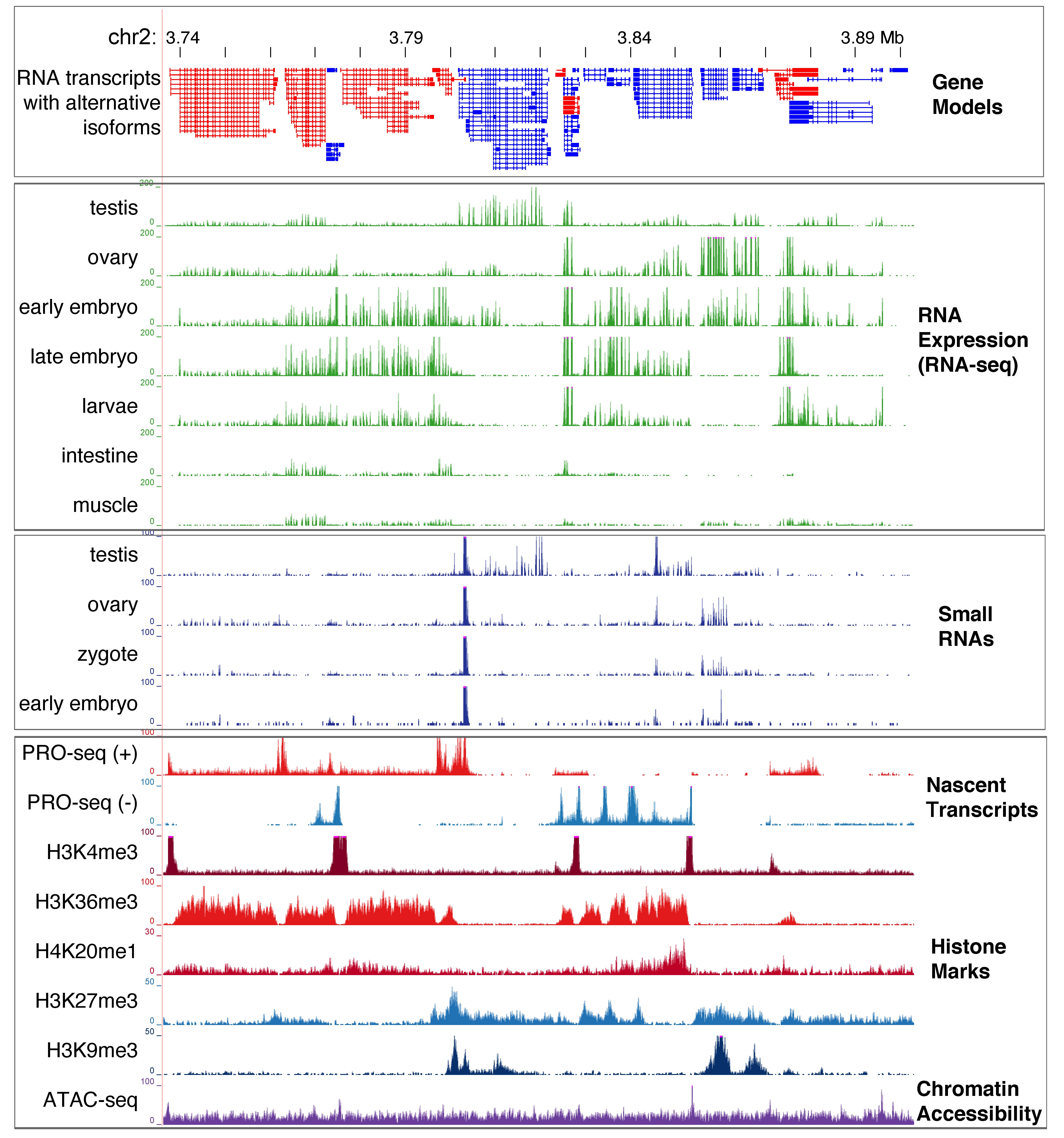 Genes 12 00493 g002 Genes 12 00493 g002