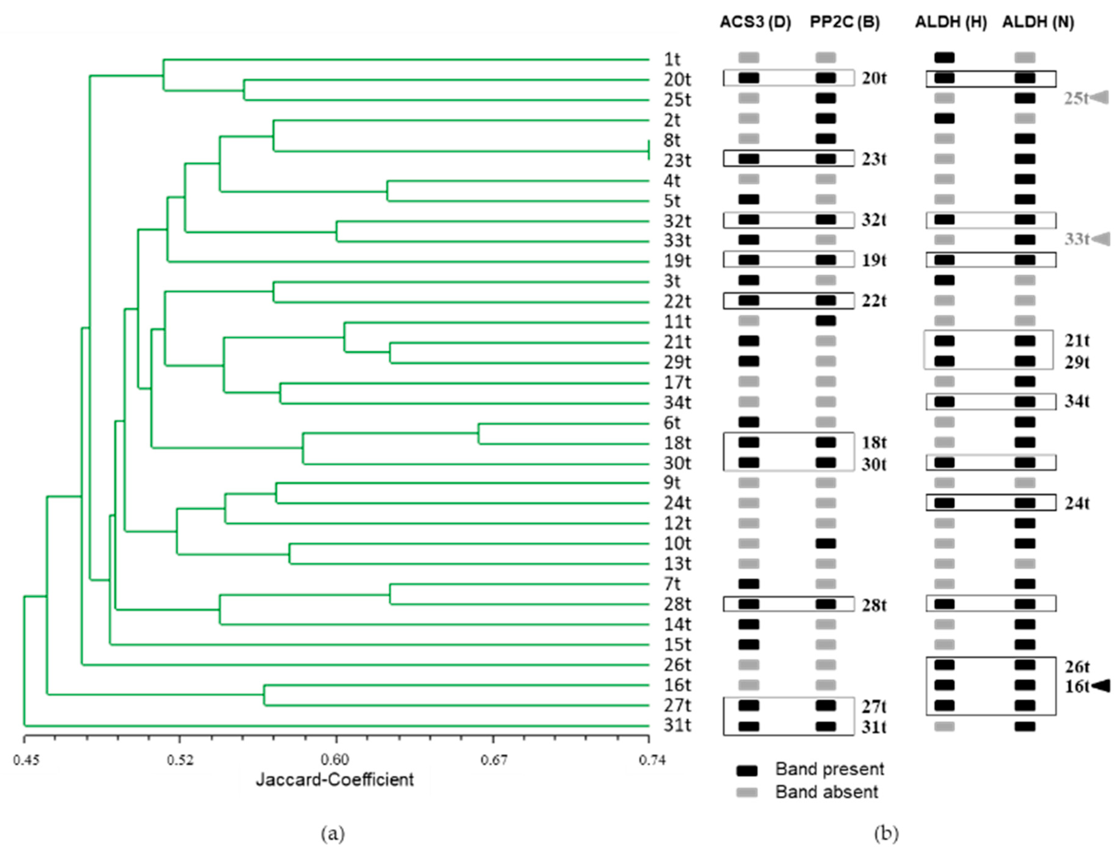 Genes 12 00494 g006