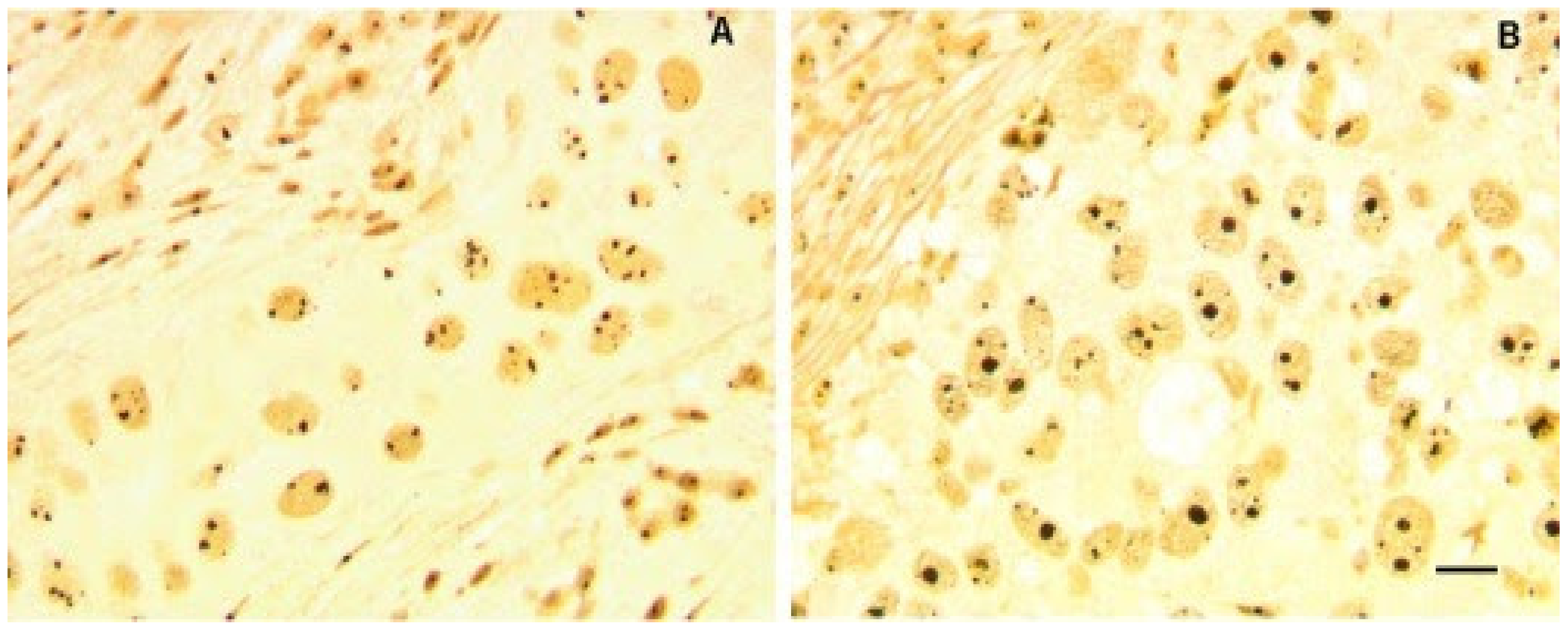 Genes 12 00502 g001 Genes 12 00502 g001