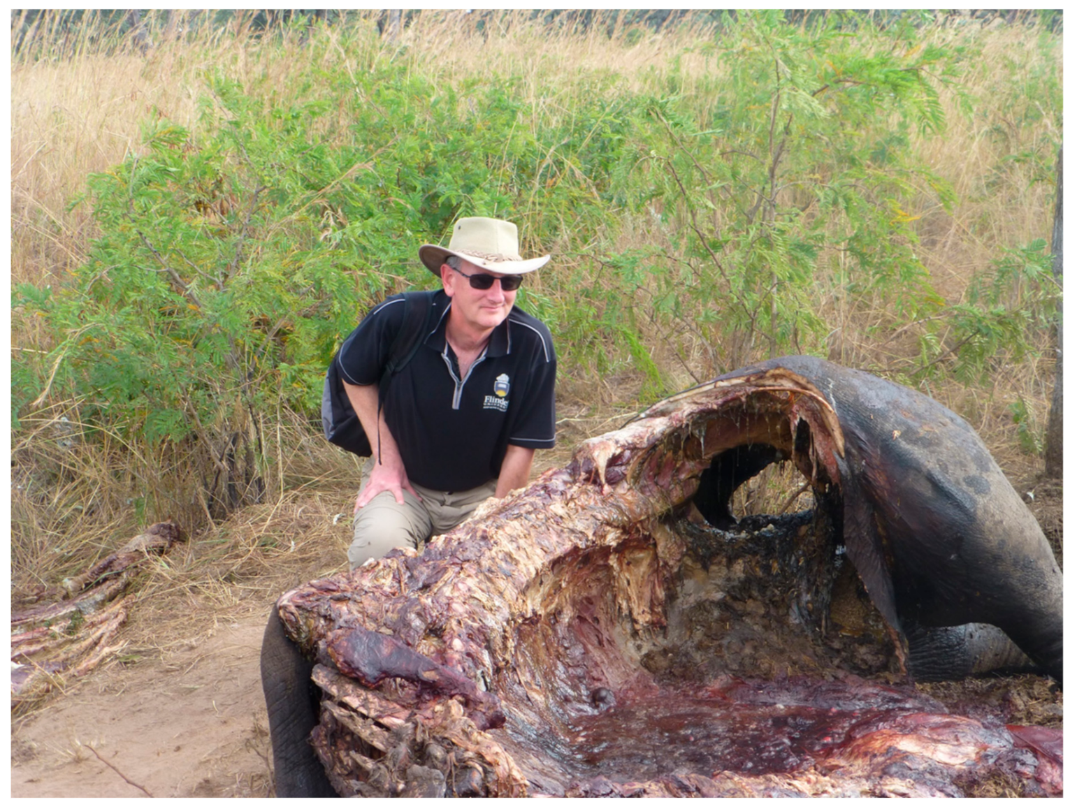 Genes 12 00515 g002 Genes 12 00515 g002