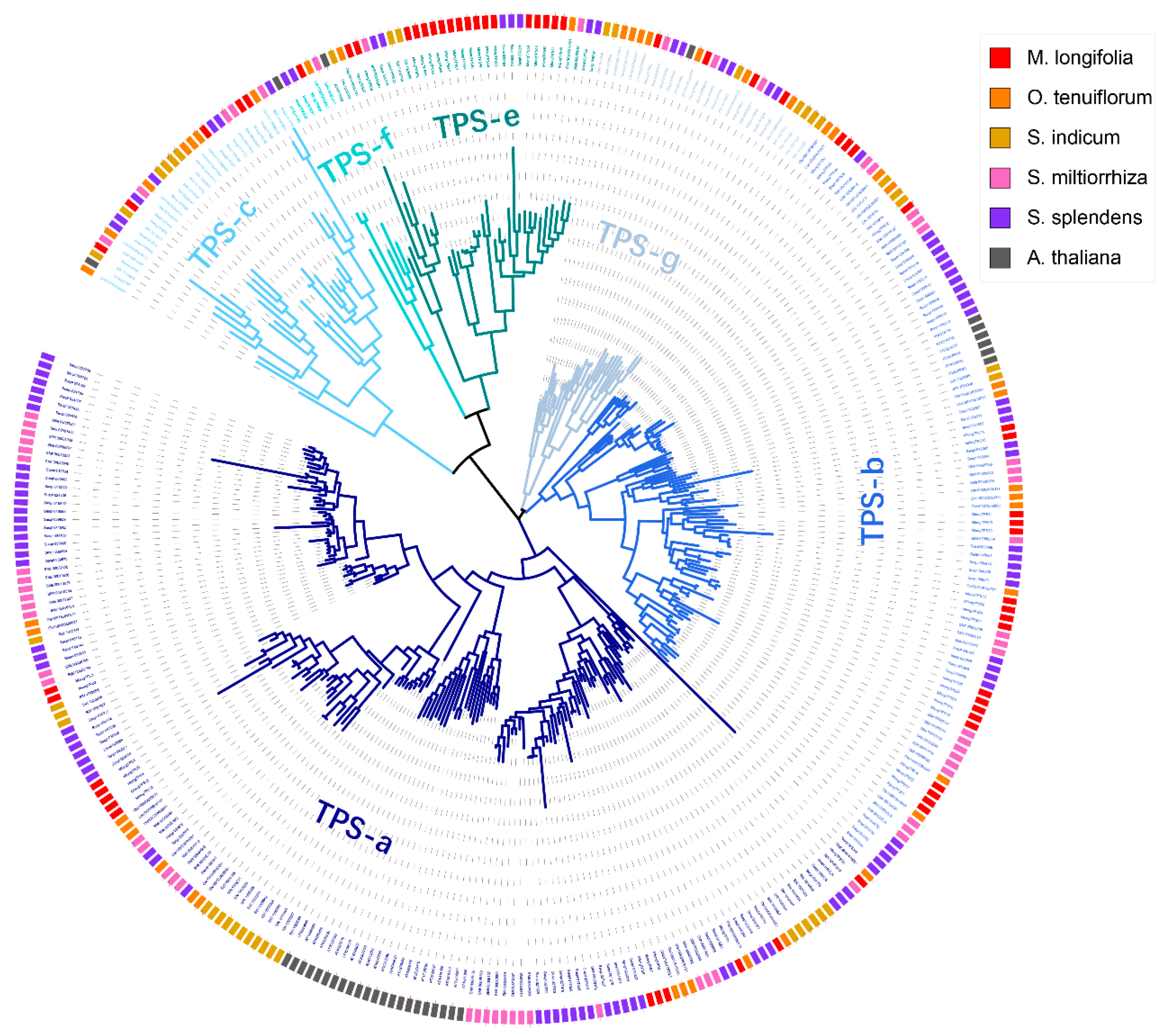 Genes 12 00518 g001