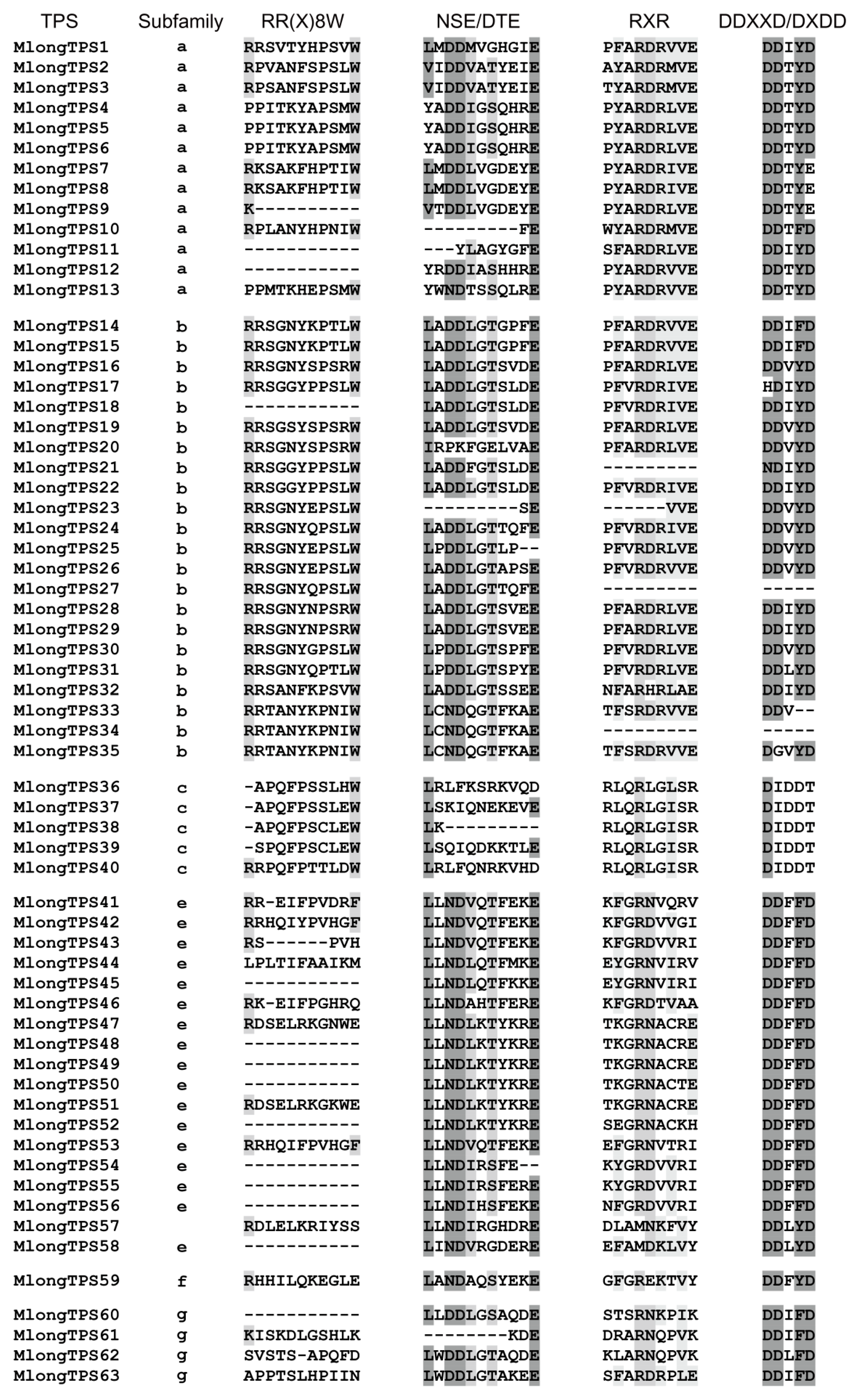 Genes 12 00518 g004