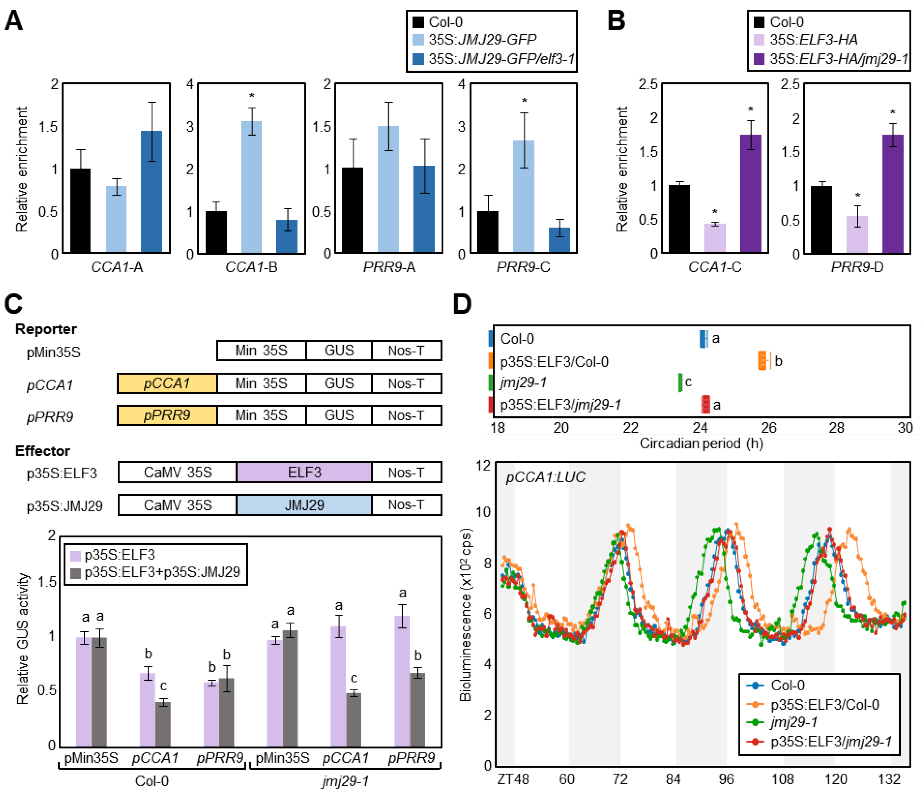 Genes 12 00529 g005