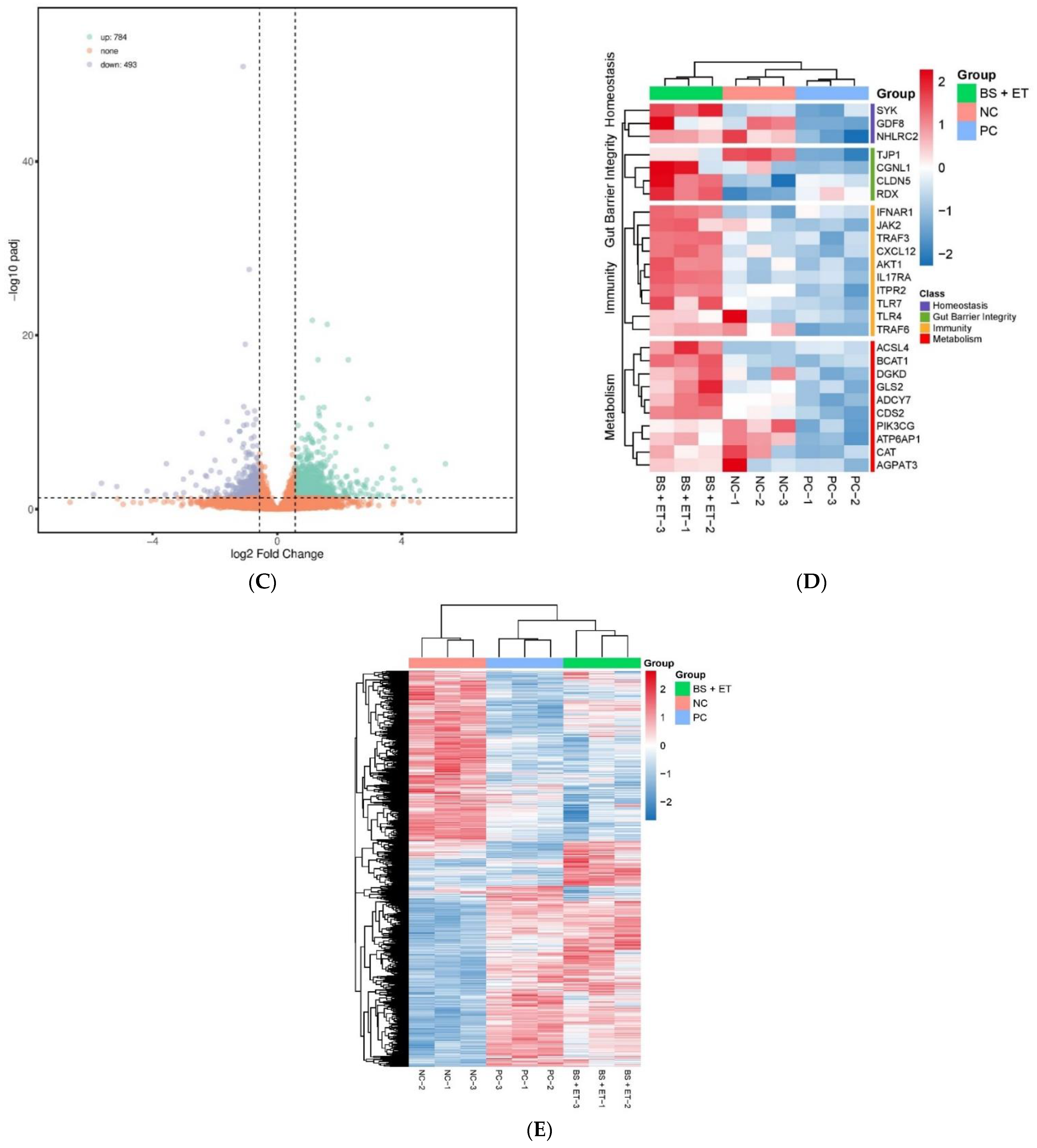 Genes 12 00536 g001b Genes 12 00536 g001b