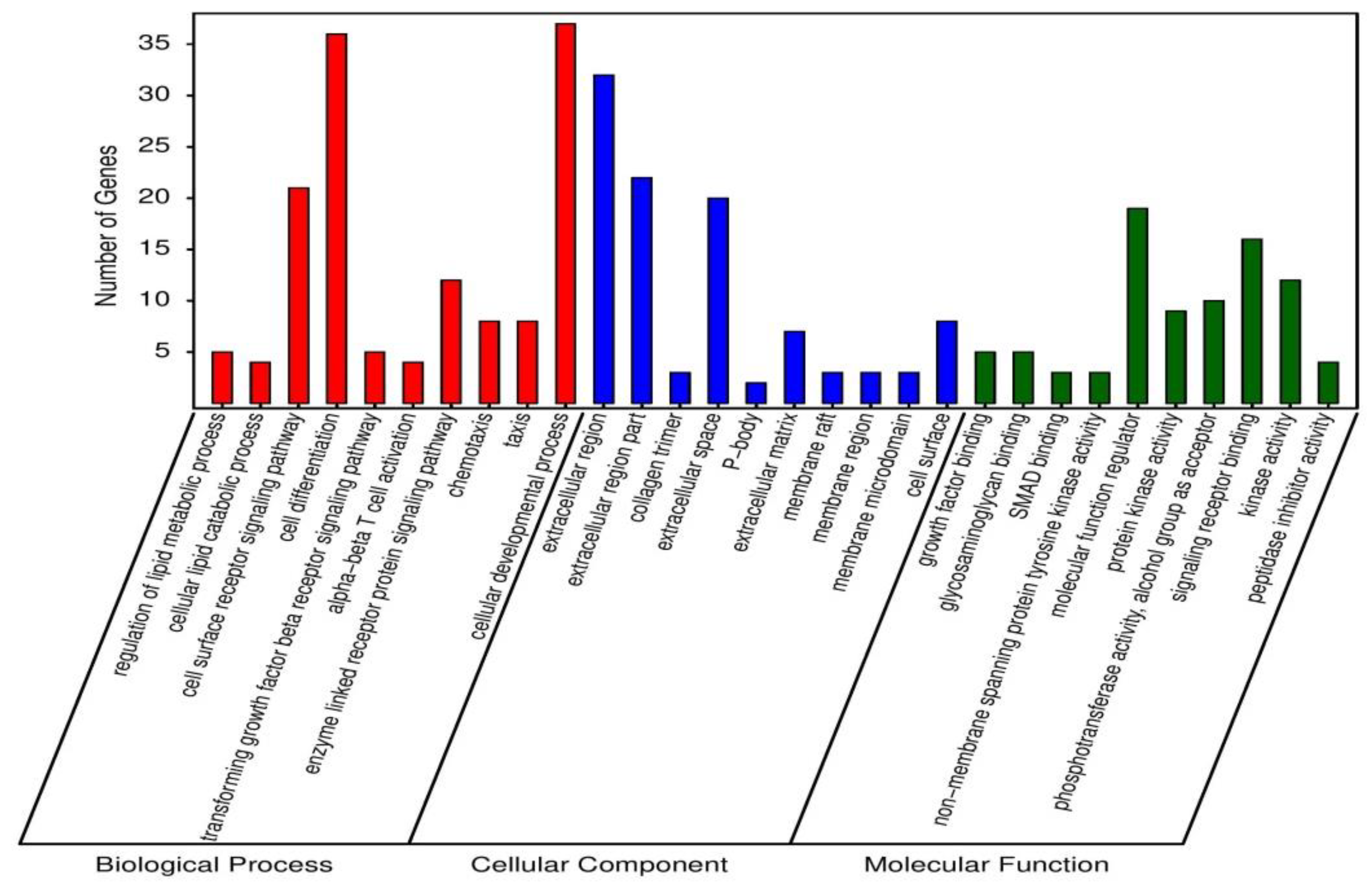 Genes 12 00536 g002 Genes 12 00536 g002