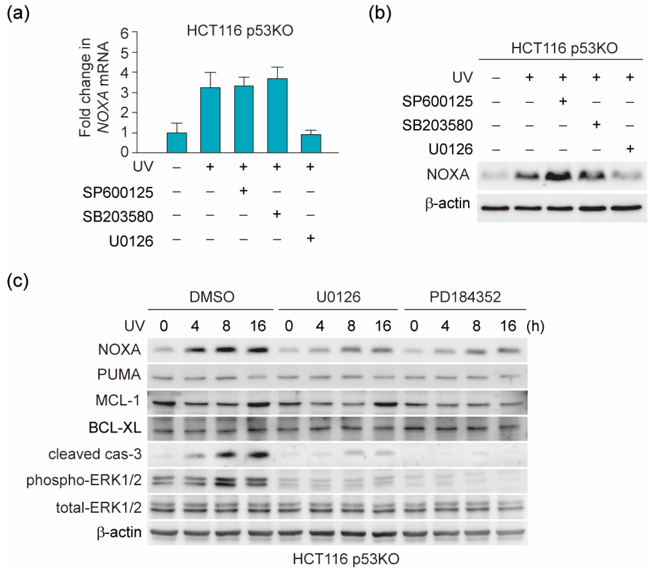 Genes 12 00539 g002 Genes 12 00539 g002