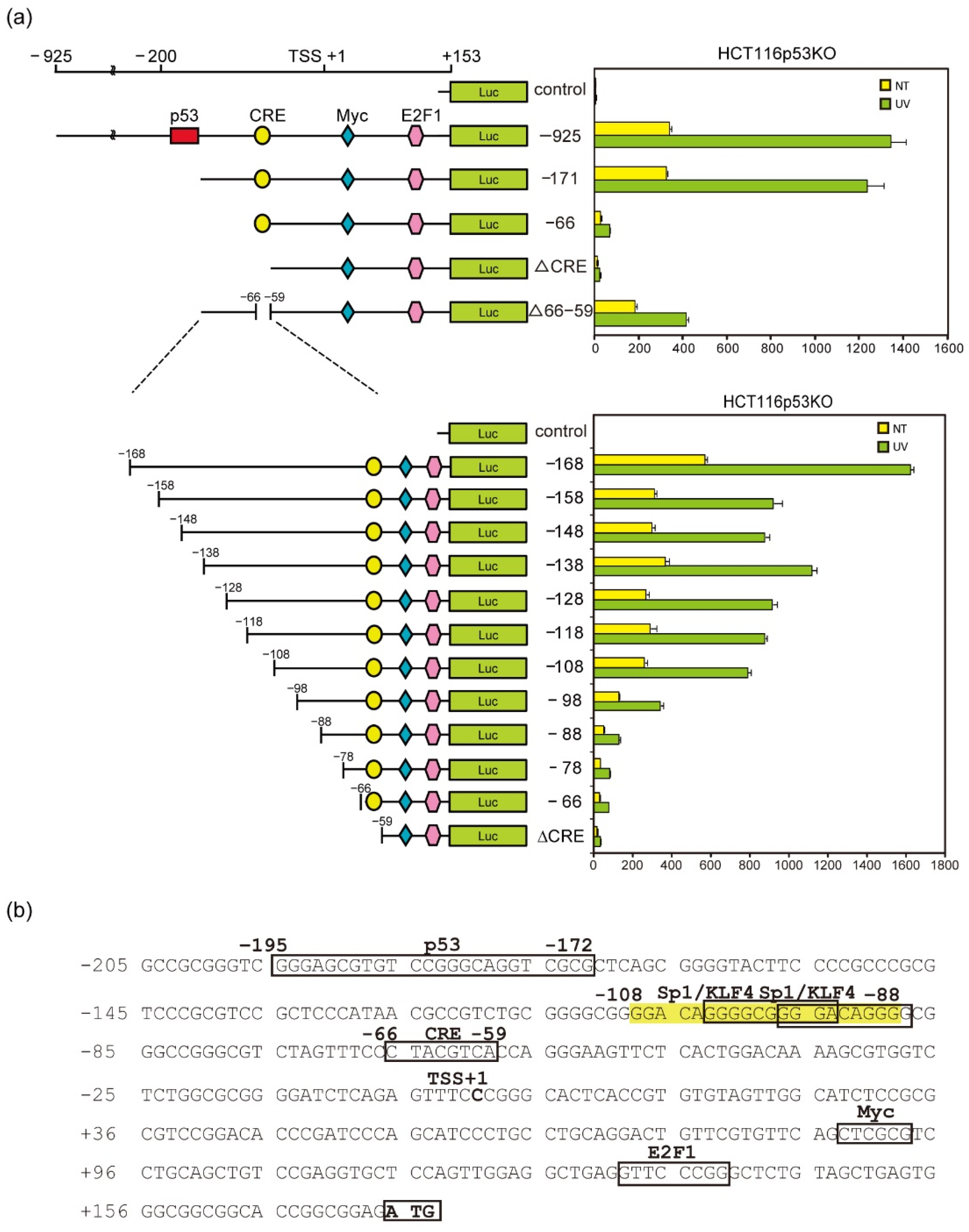 Genes 12 00539 g003 Genes 12 00539 g003