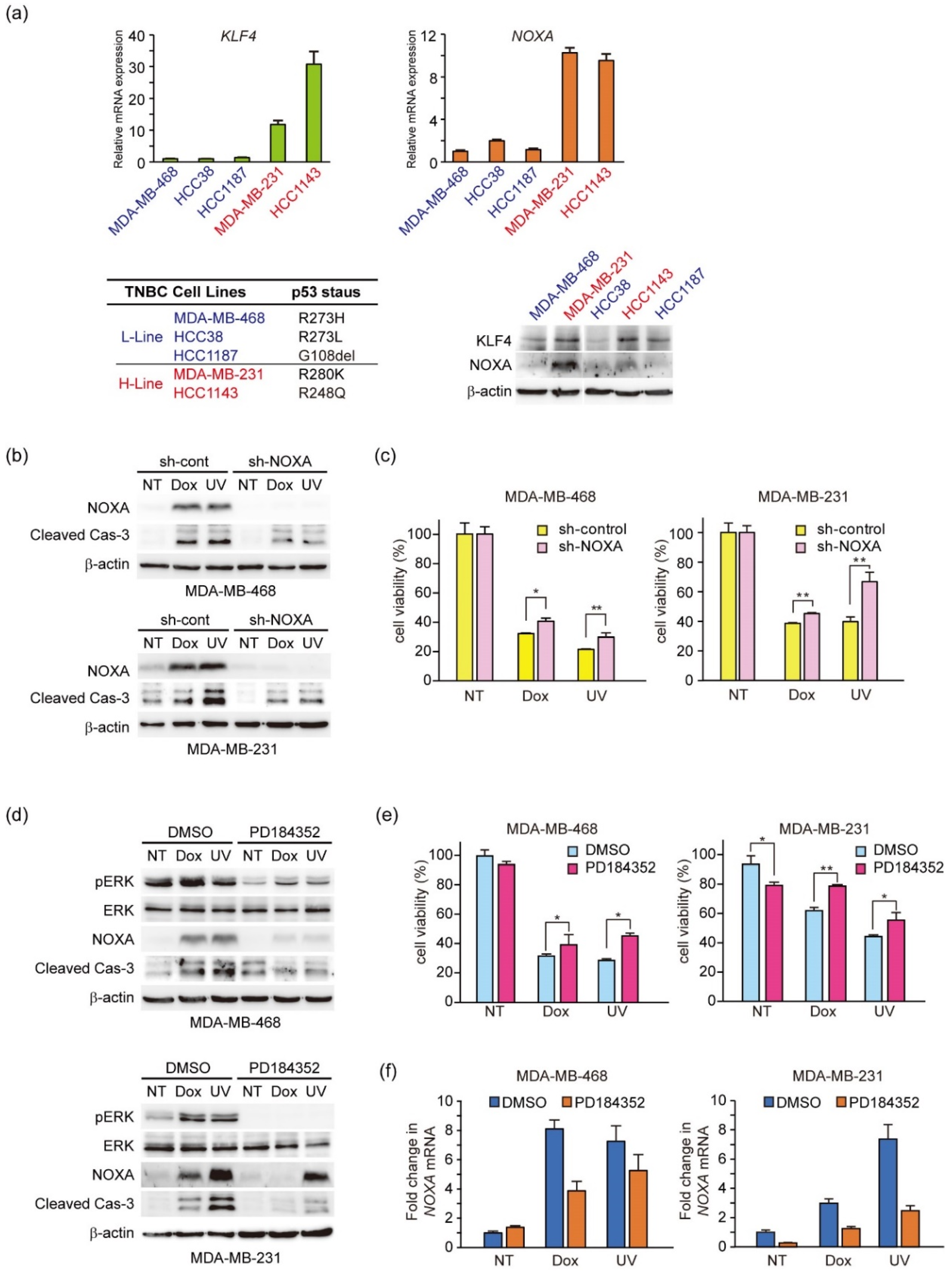 Genes 12 00539 g006 Genes 12 00539 g006