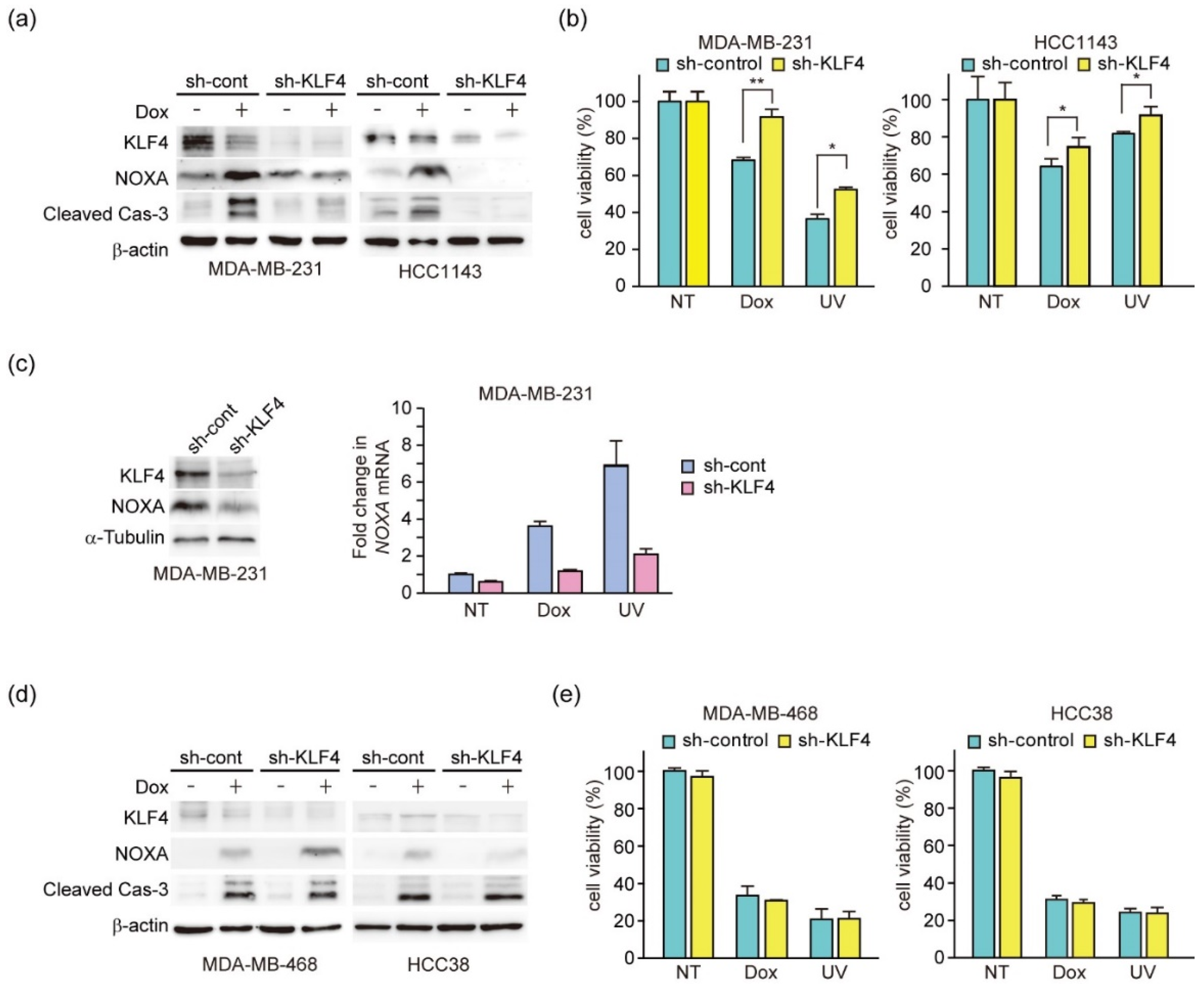 Genes 12 00539 g007 Genes 12 00539 g007