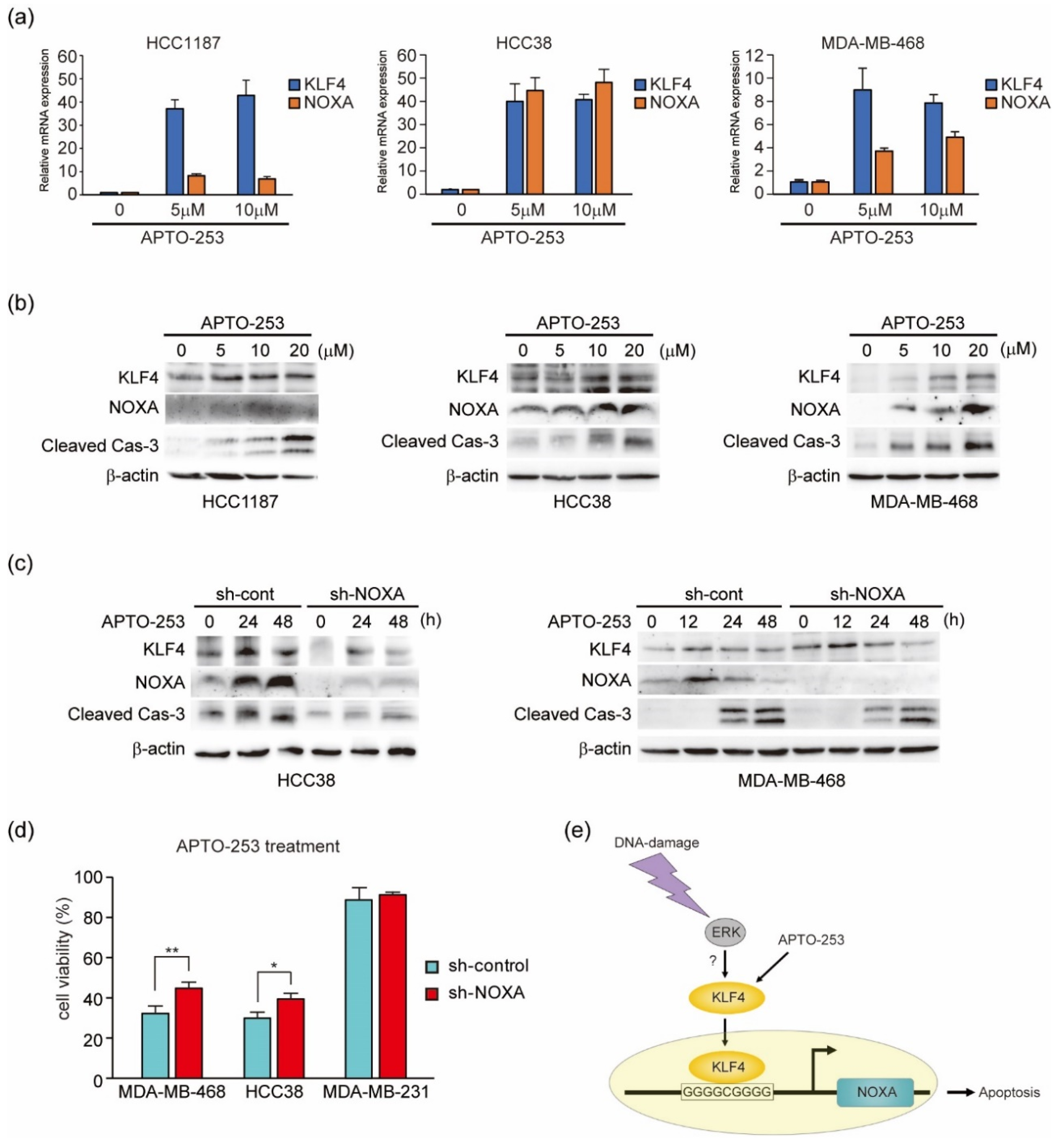 Genes 12 00539 g008 Genes 12 00539 g008