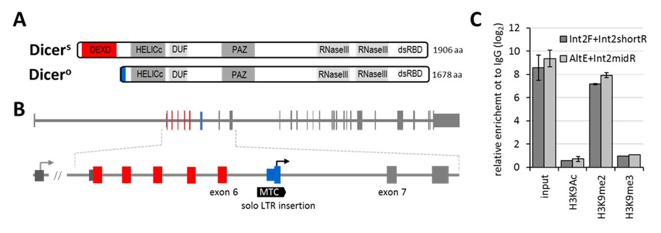 Genes 12 00540 g001 Genes 12 00540 g001