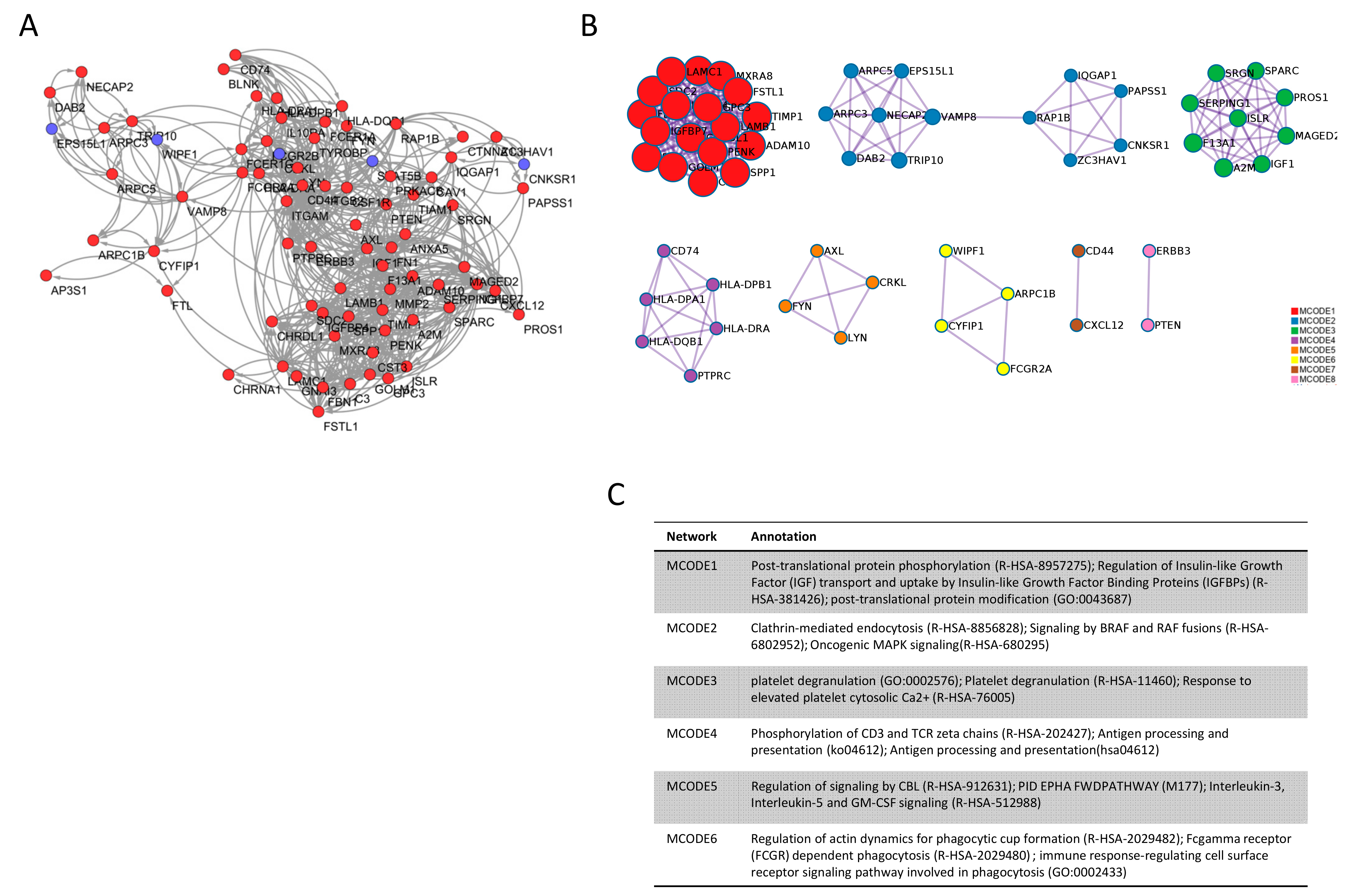 Genes 12 00543 g002
