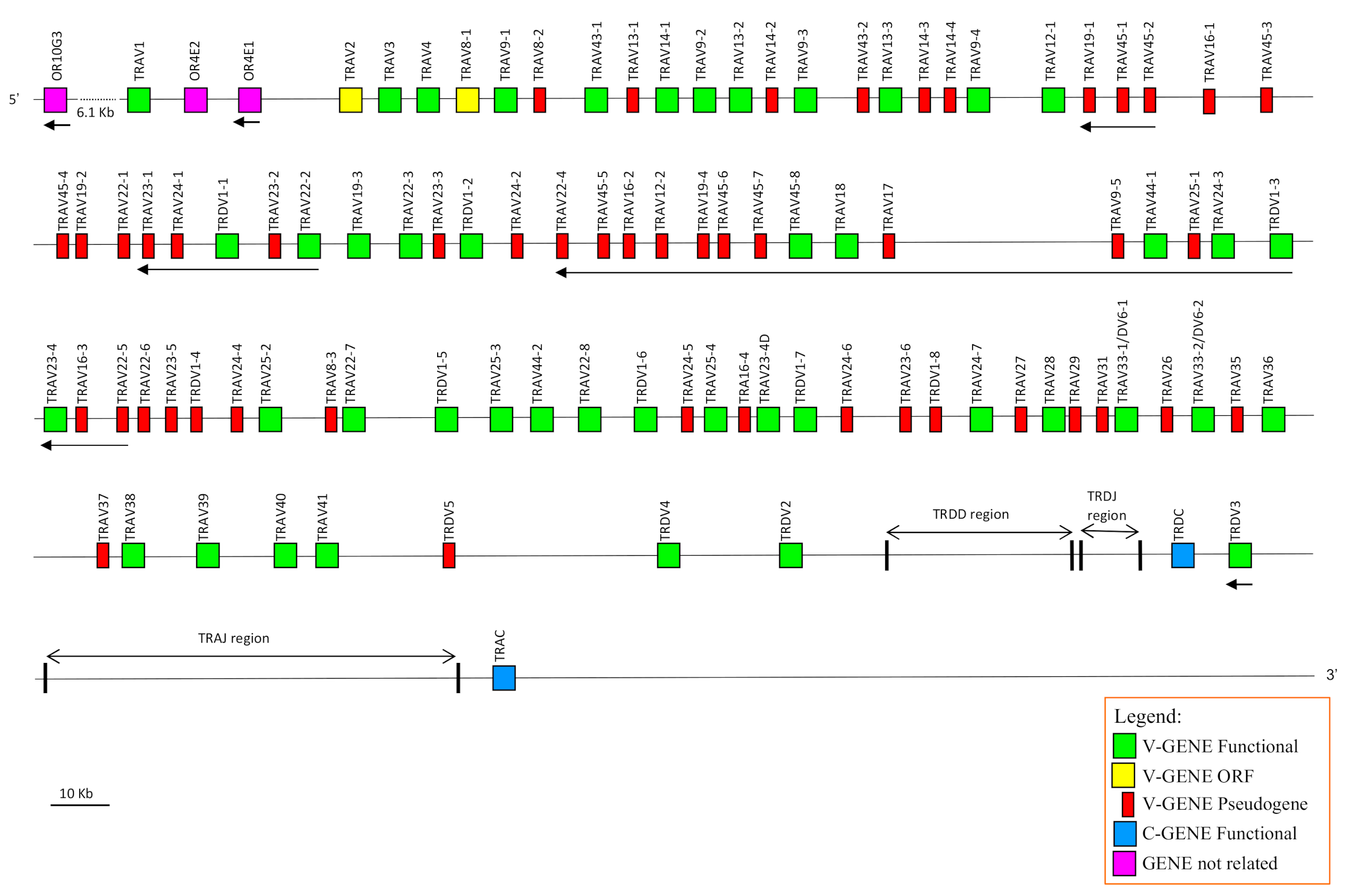 Genes 12 00544 g001 Genes 12 00544 g001