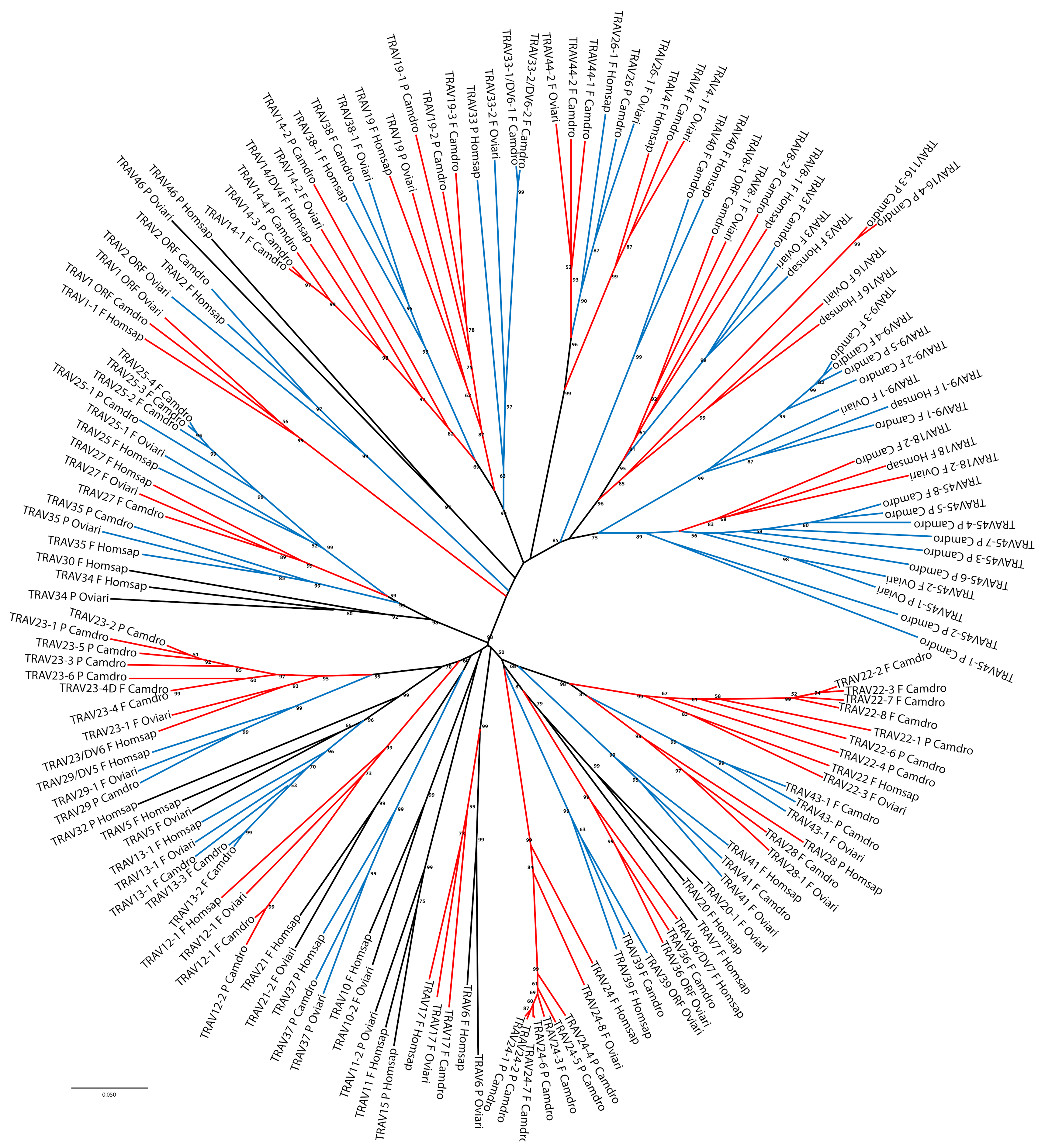 Genes 12 00544 g002 Genes 12 00544 g002