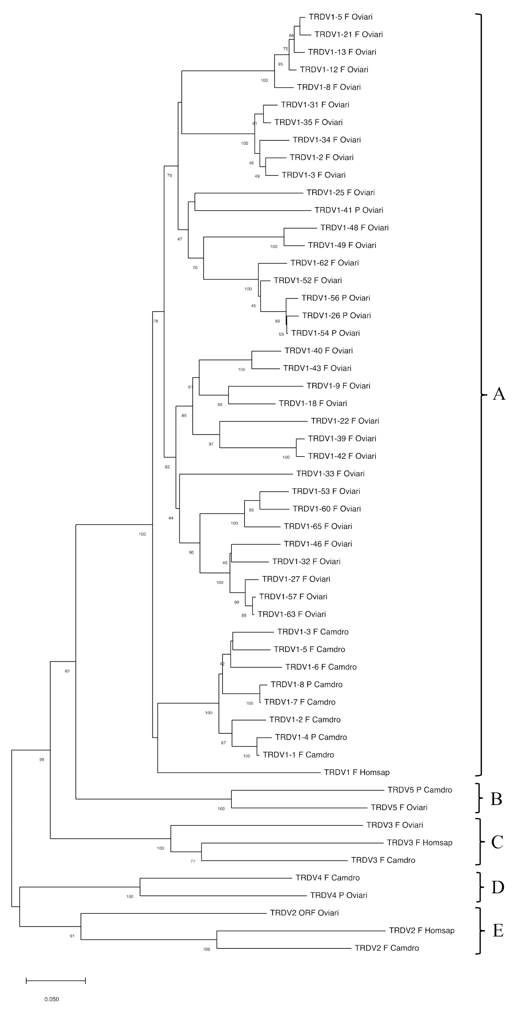Genes 12 00544 g003 Genes 12 00544 g003