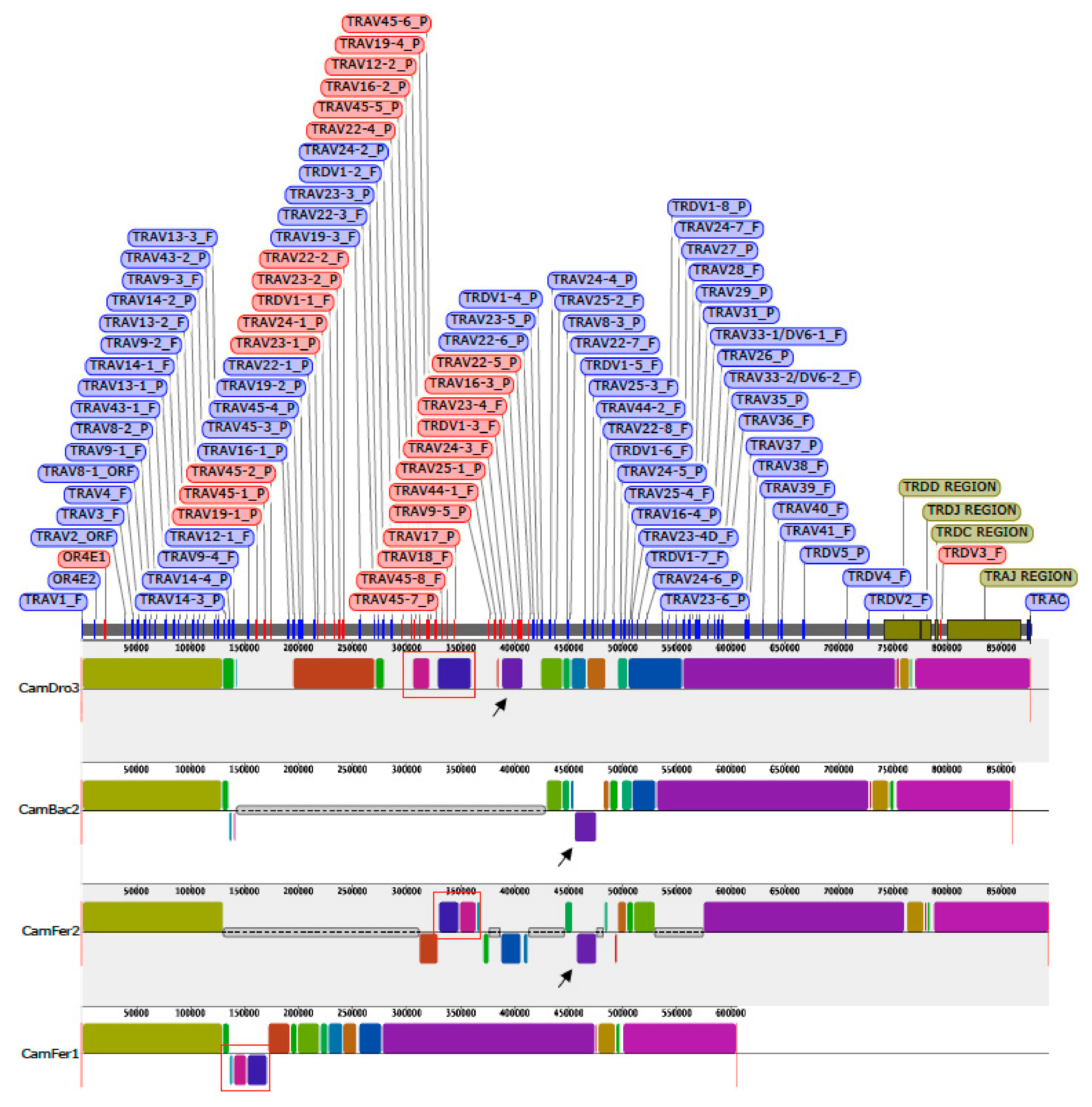Genes 12 00544 g005 Genes 12 00544 g005