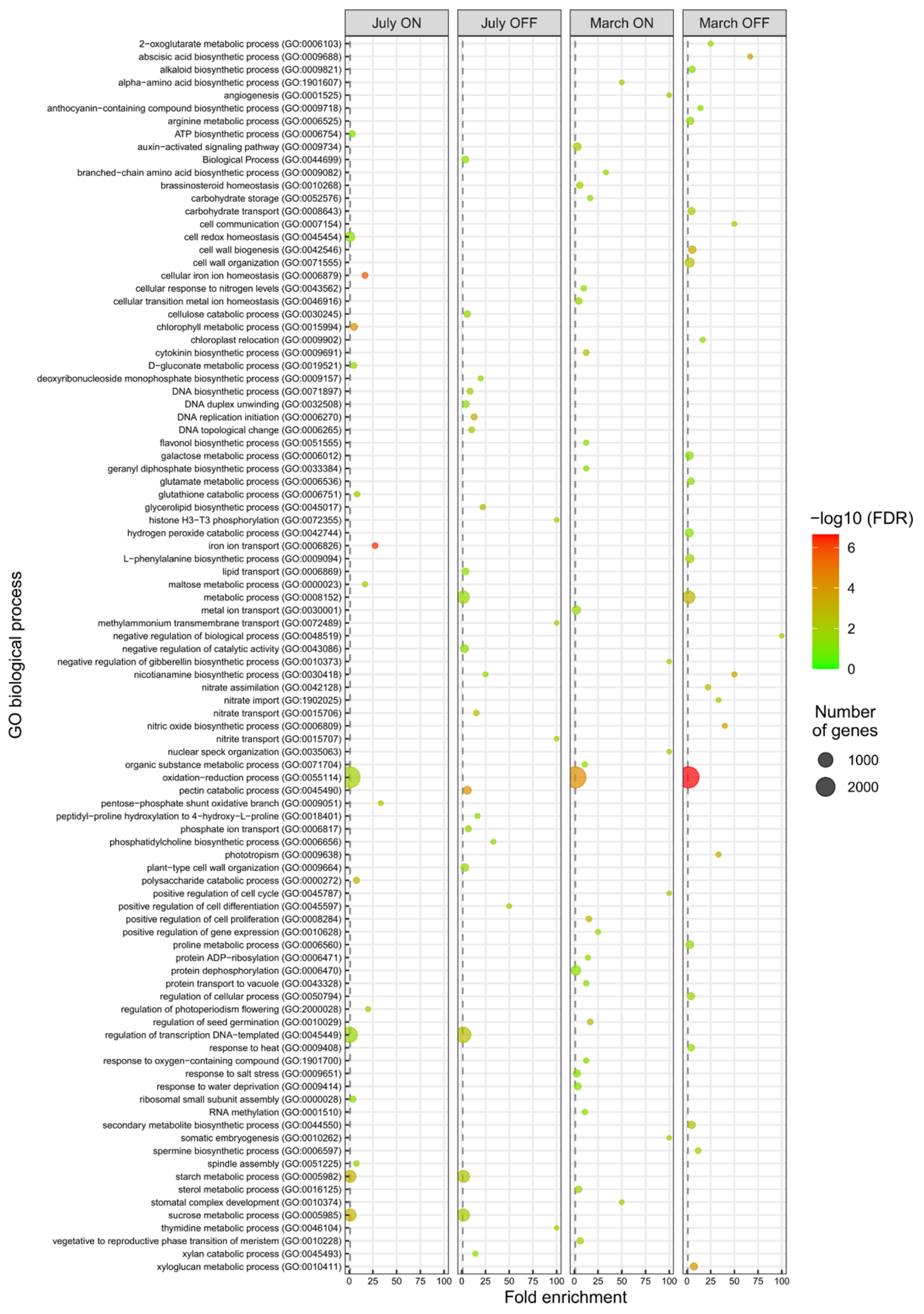 Genes 12 00545 g002