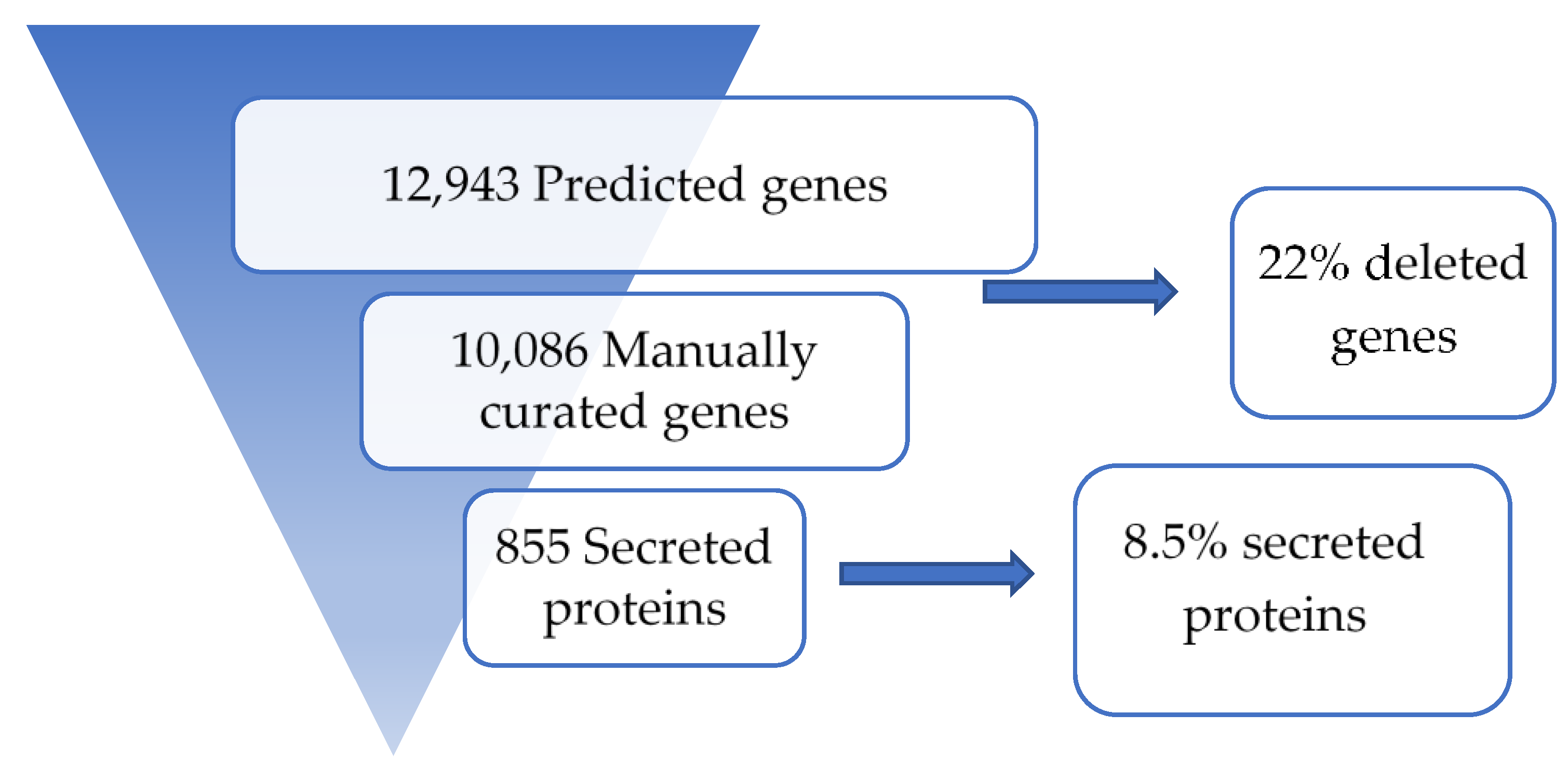 Genes 12 00568 g001