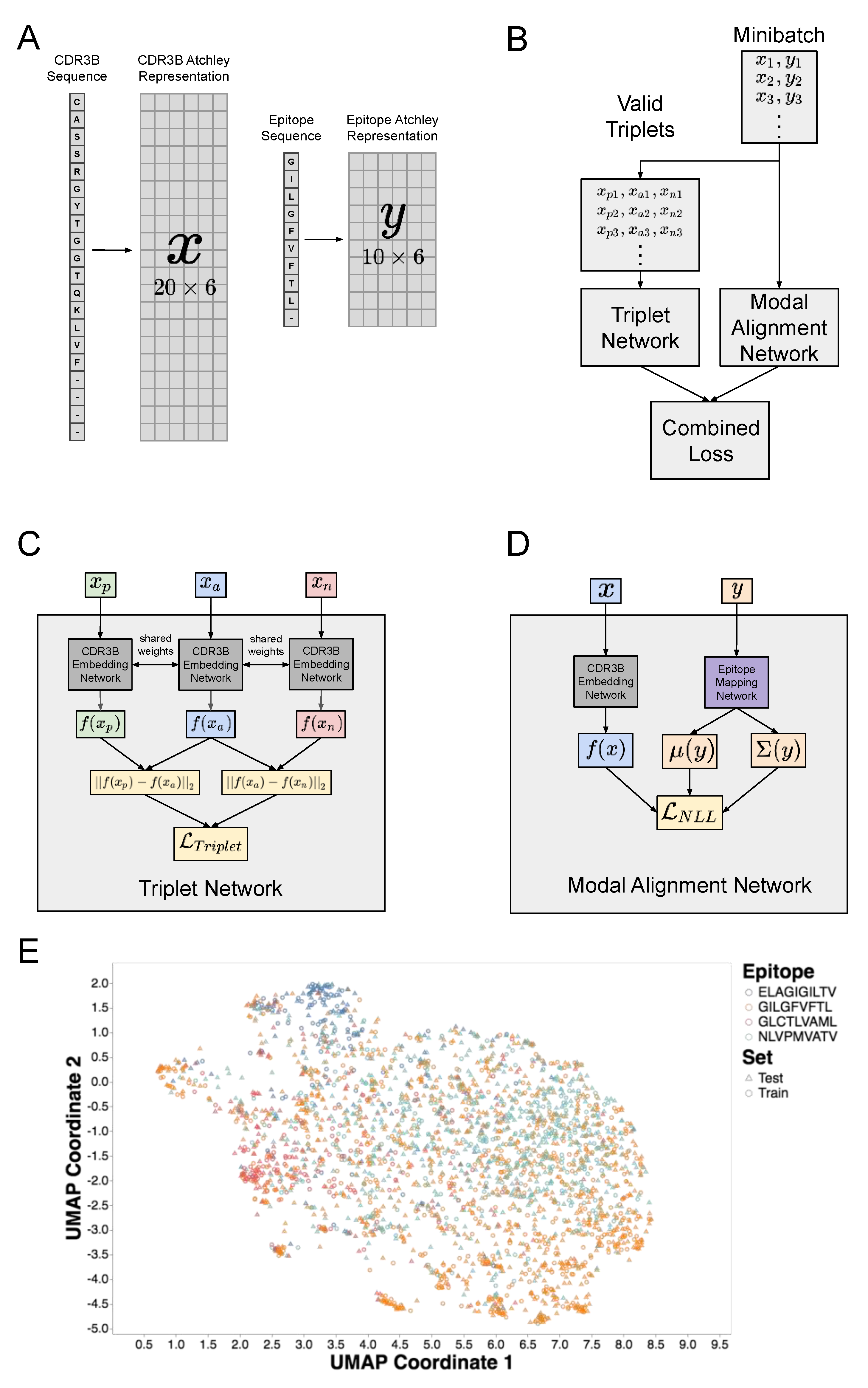 Genes 12 00572 g001 Genes 12 00572 g001