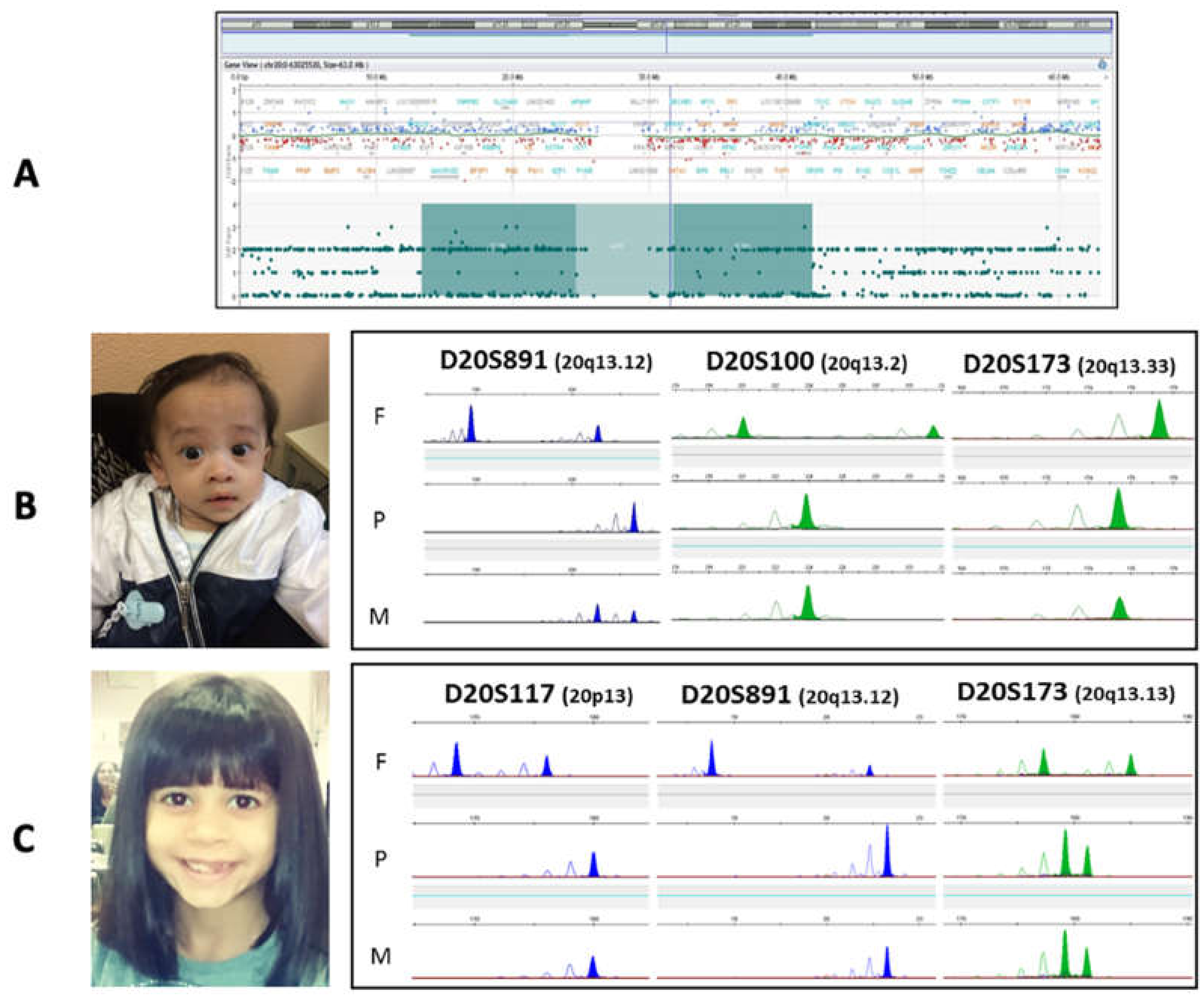 Genes 12 00588 g003 Genes 12 00588 g003