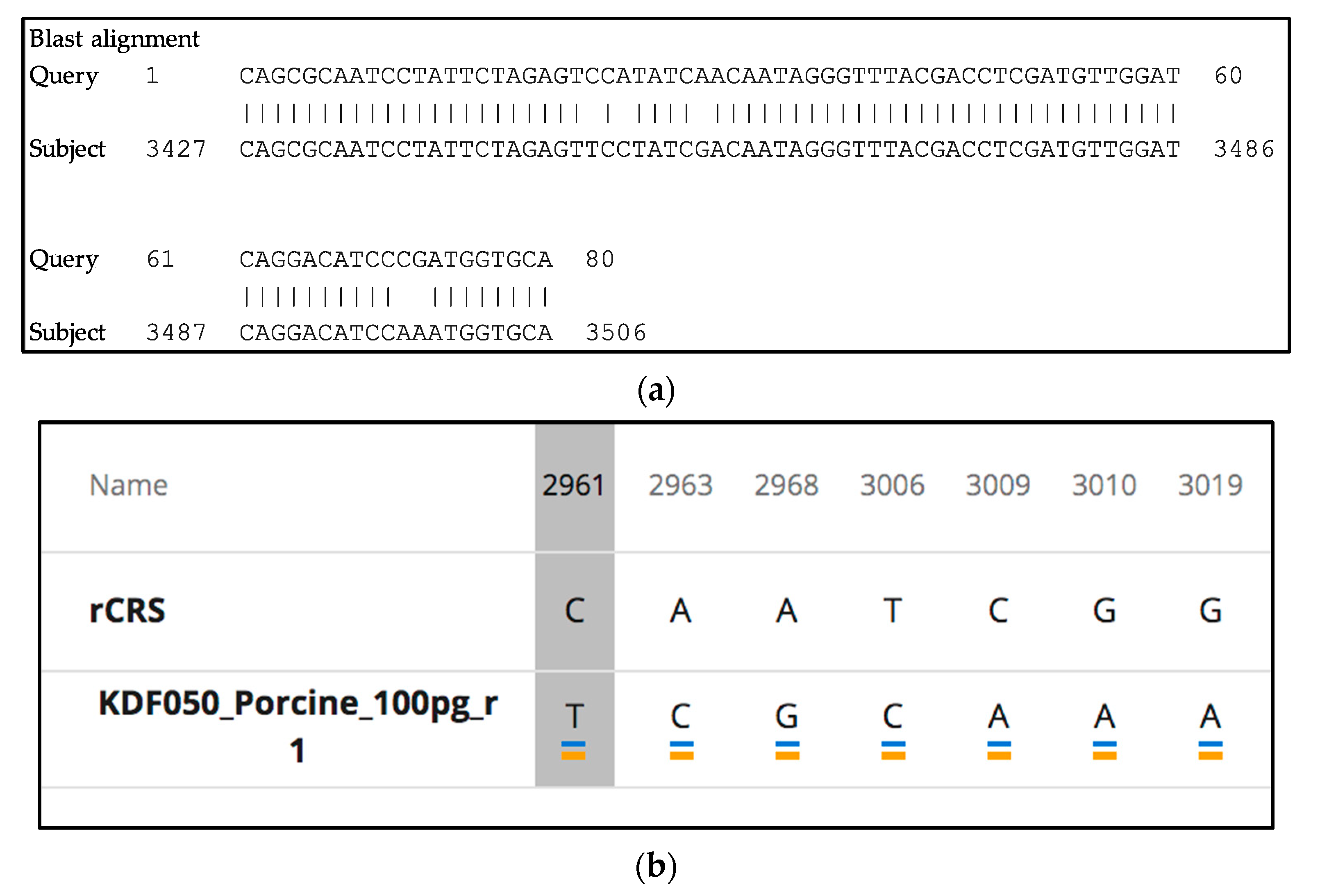 Genes 12 00599 g006