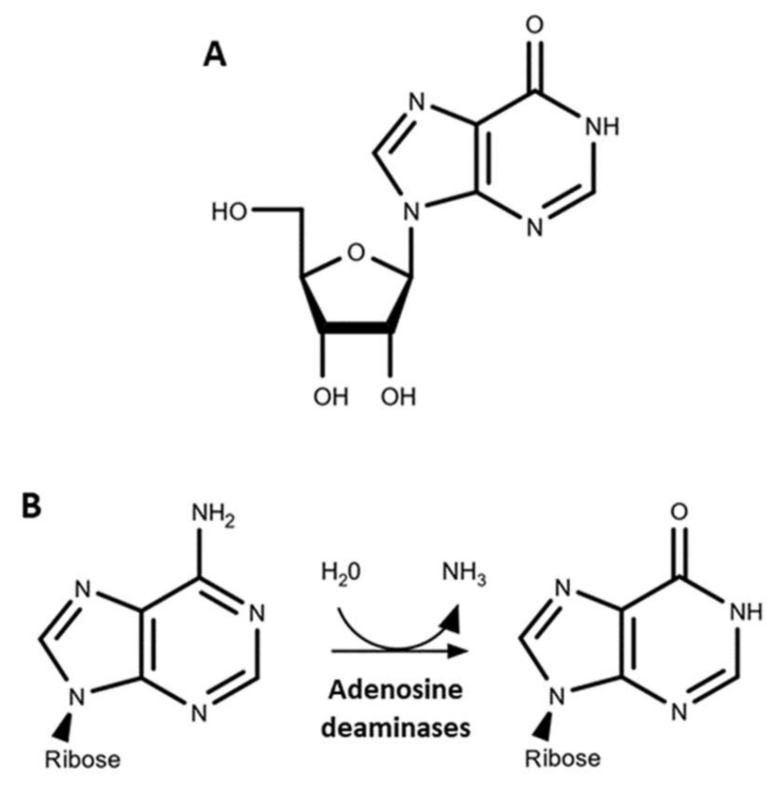 Genes 12 00600 g001